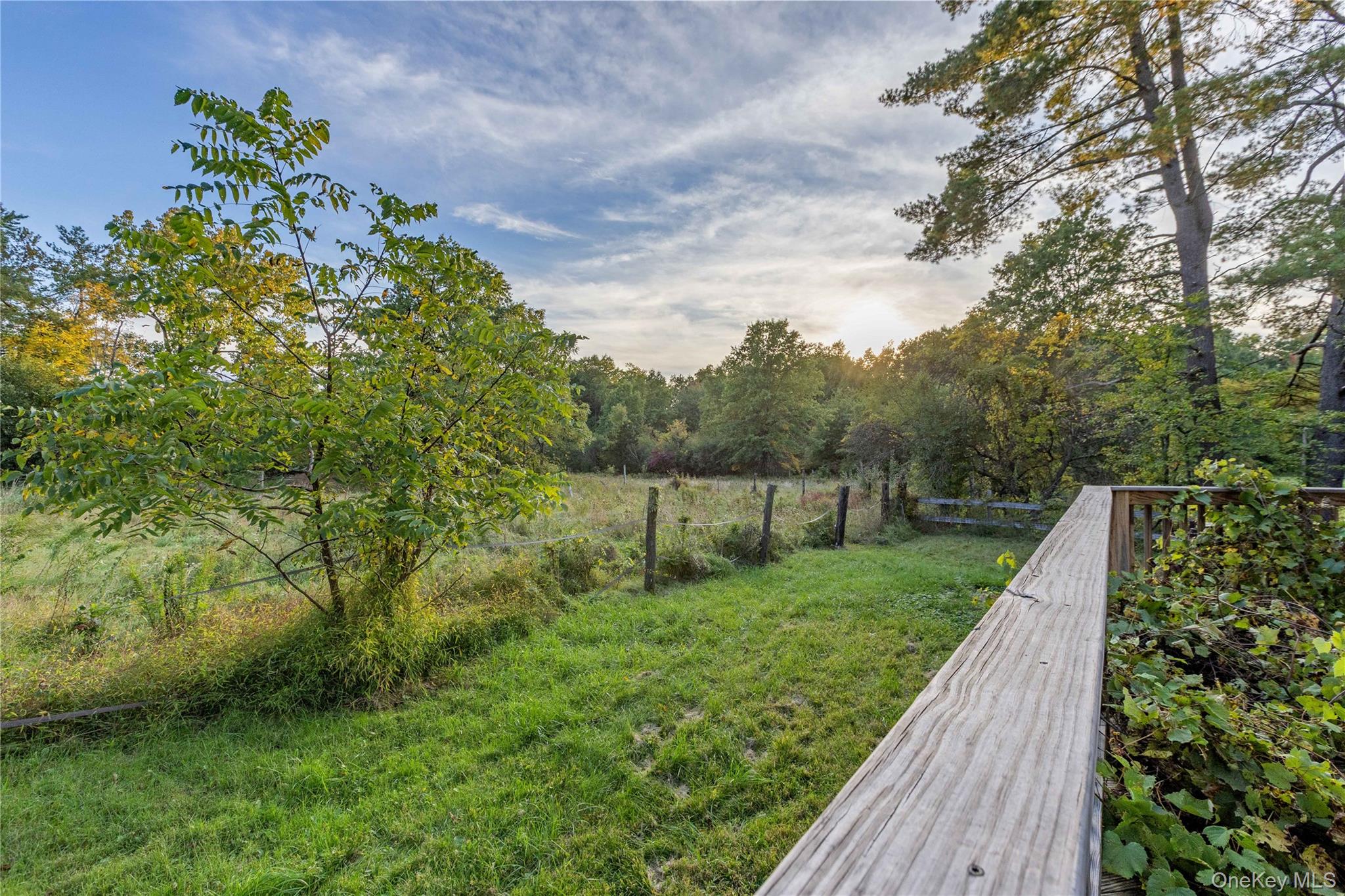 64 North Road – For Sale photo 15