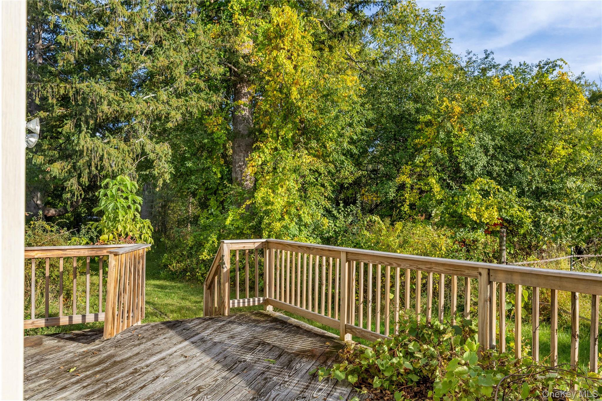 64 North Road – For Sale photo 16