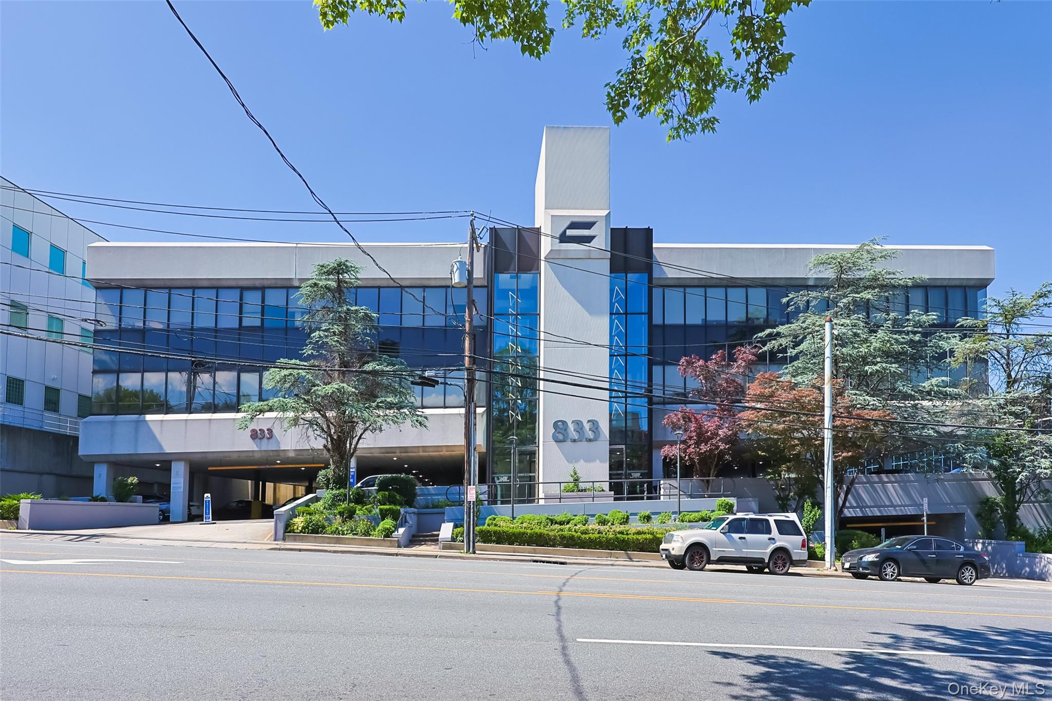 833 Northern Boulevard, Unit 270 photo 20