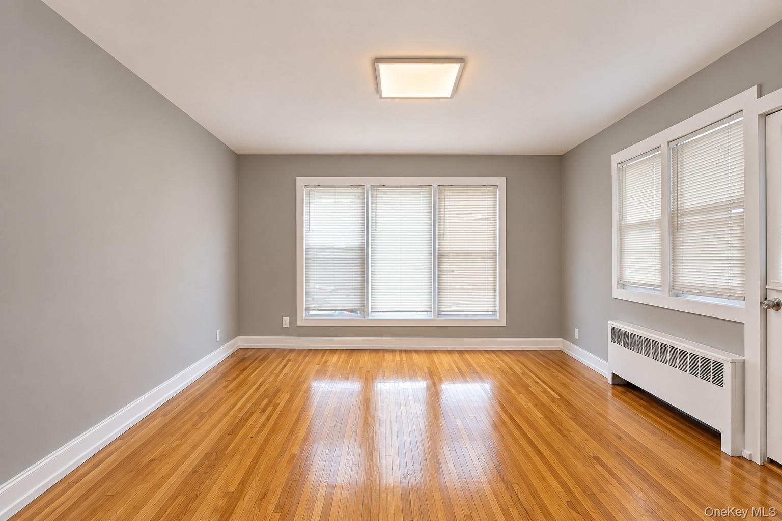 242 E Broadway, Unit 1 photo 5