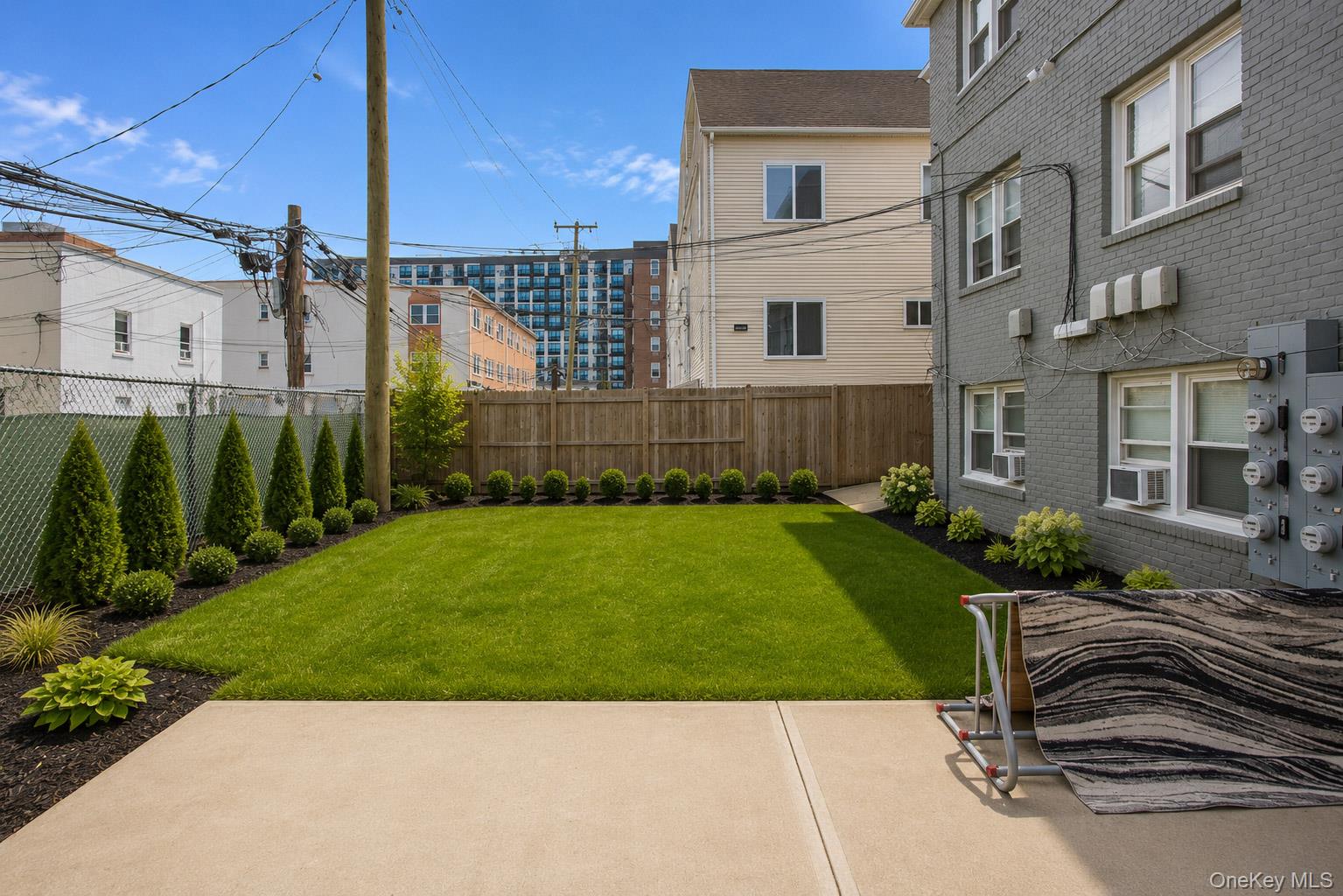 242 E Broadway, Unit 1 photo 24
