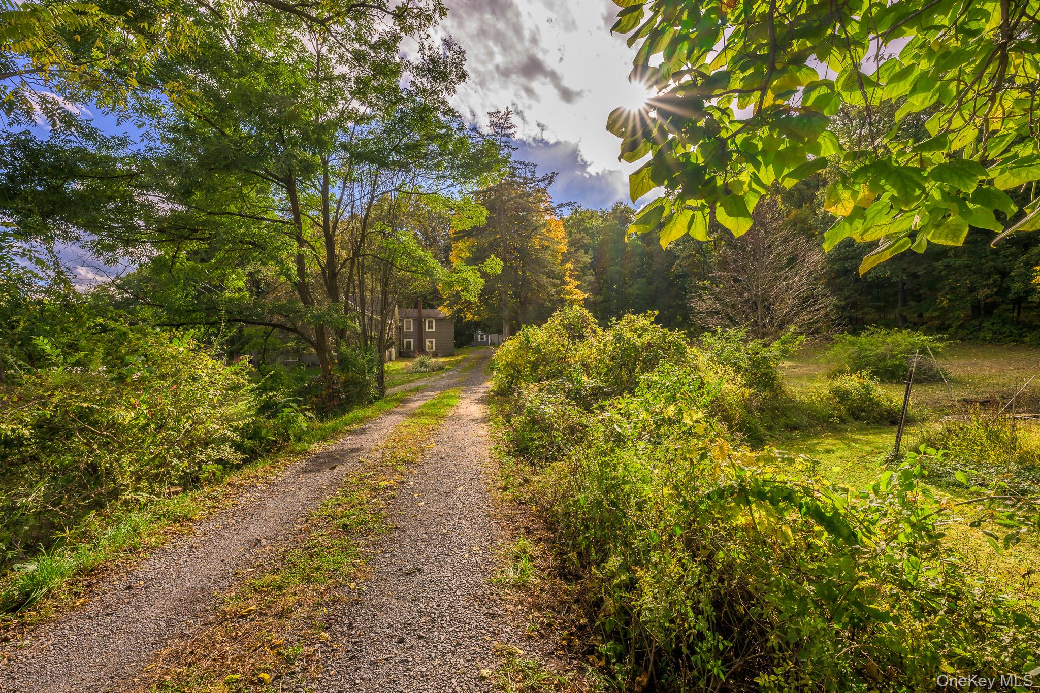 167 Patterson Road – For Sale photo 12