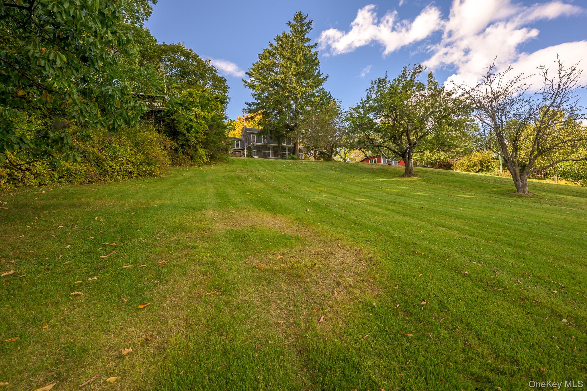 167 Patterson Road – For Sale photo 4
