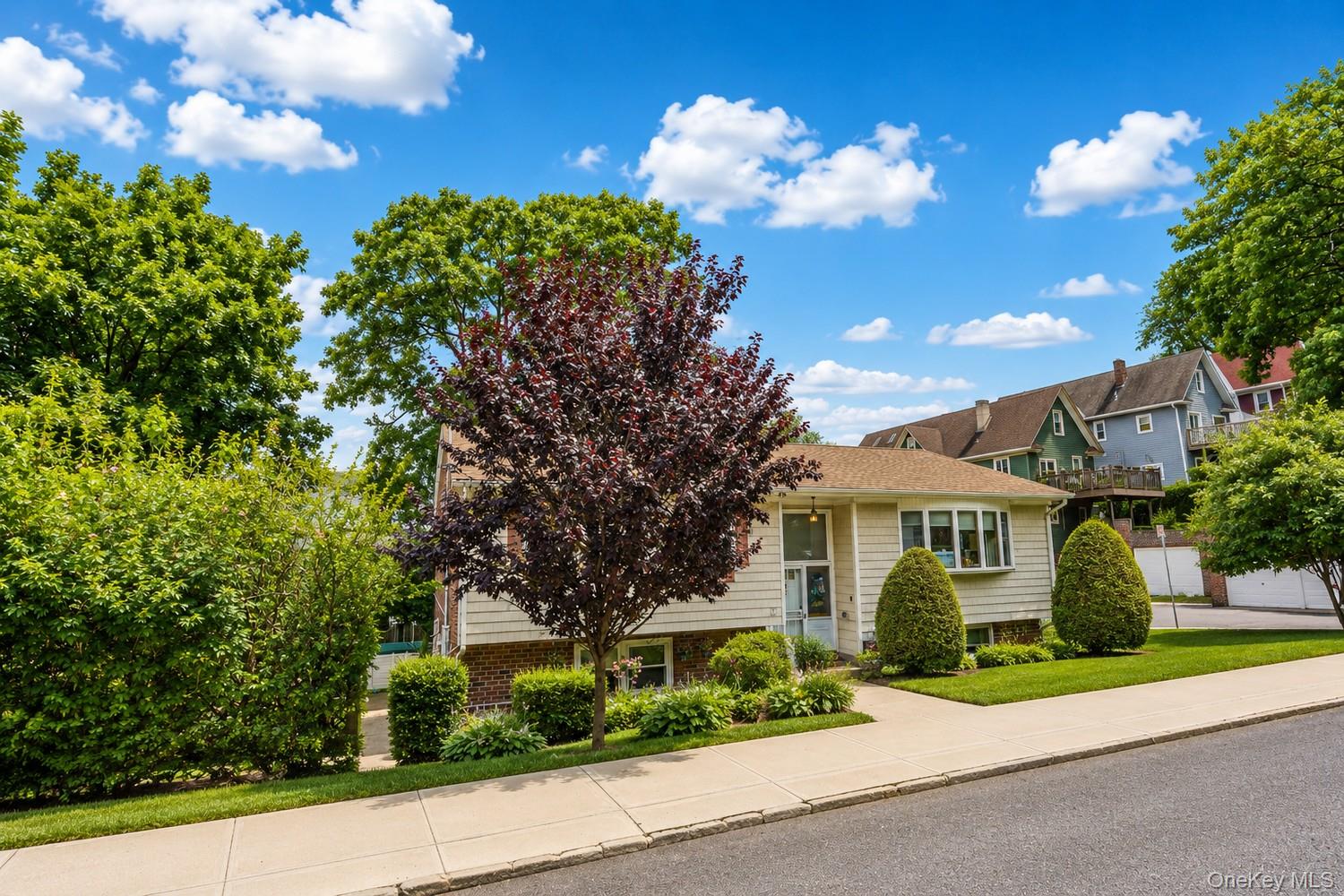 17 Murray Place – For Sale photo 48