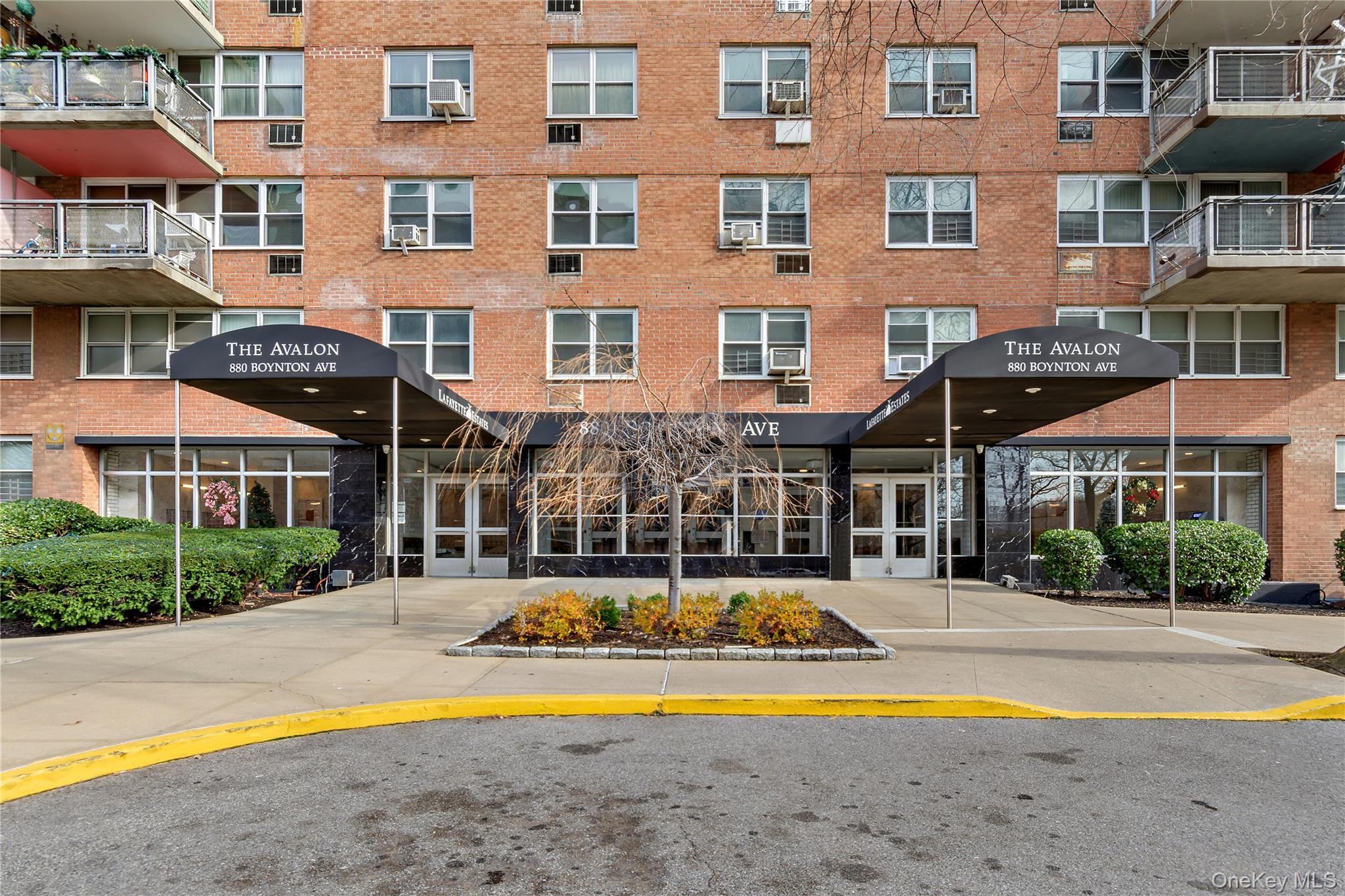 880 Boynton Avenue, Unit 1E photo 17