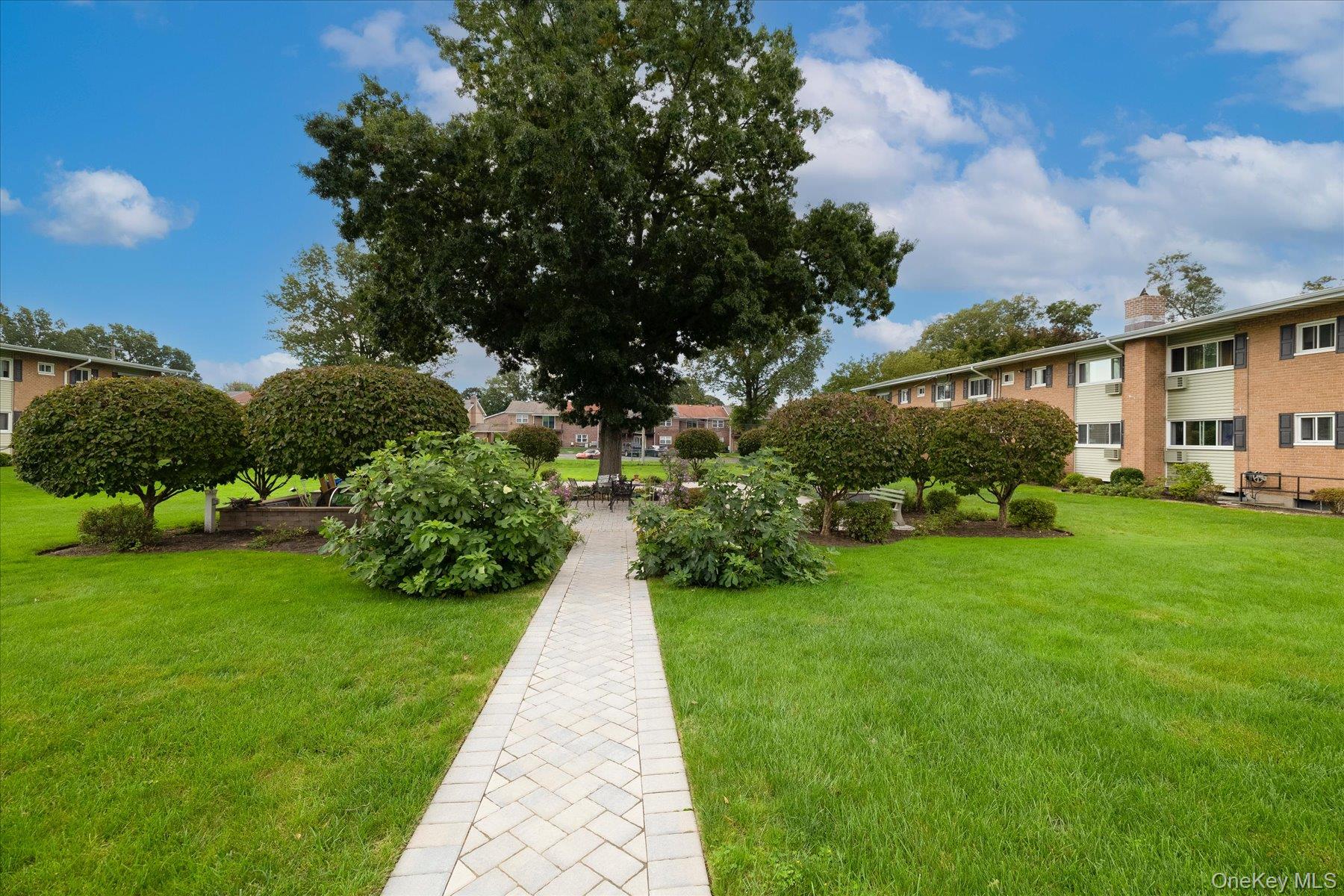 41 Mildred Place, Unit 3B photo 11