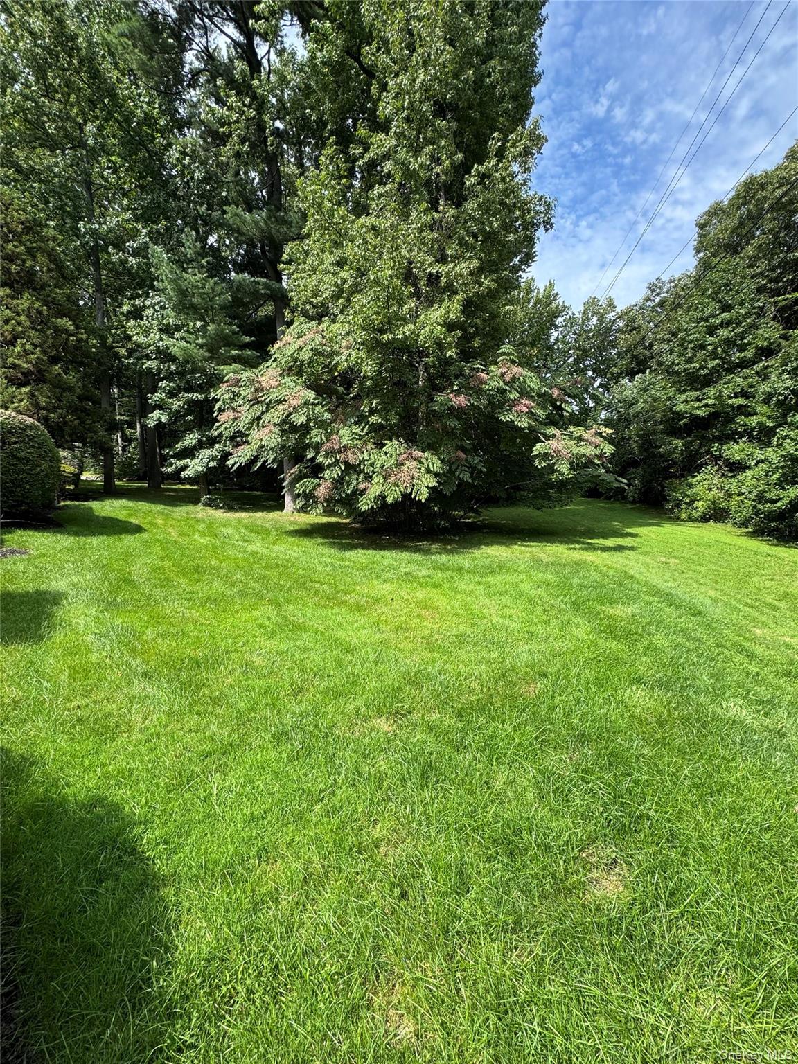 20 Tiffany Circle, Unit 20 photo 3