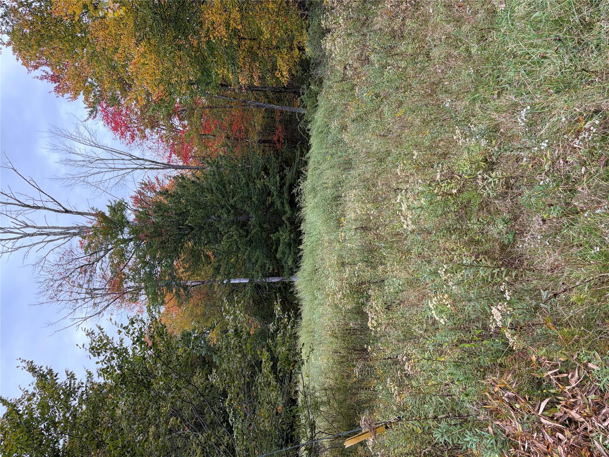 695 Budd Road – For Sale photo 2