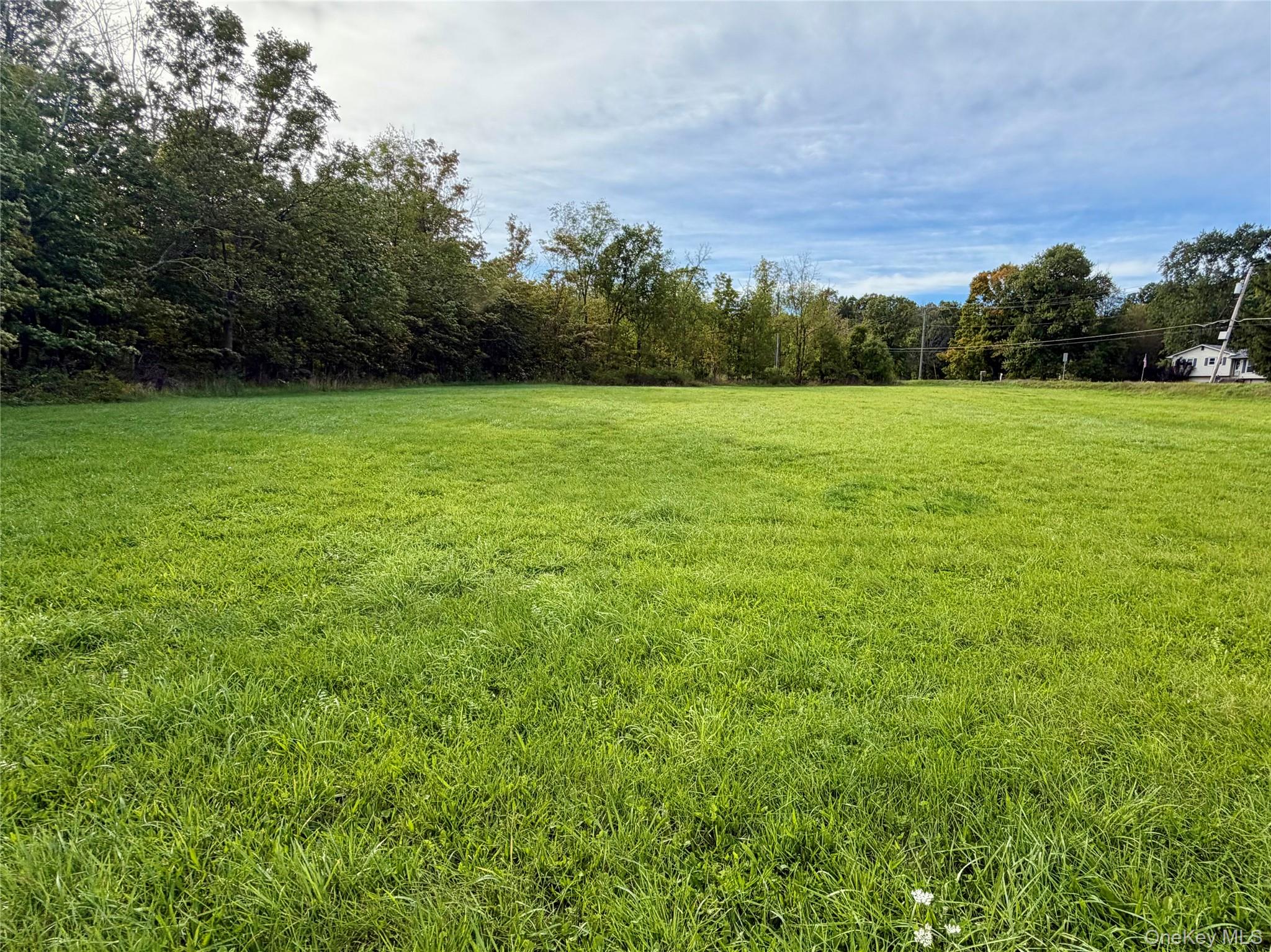 539 (Lot 1) Mt Orange Road – For Sale photo 5