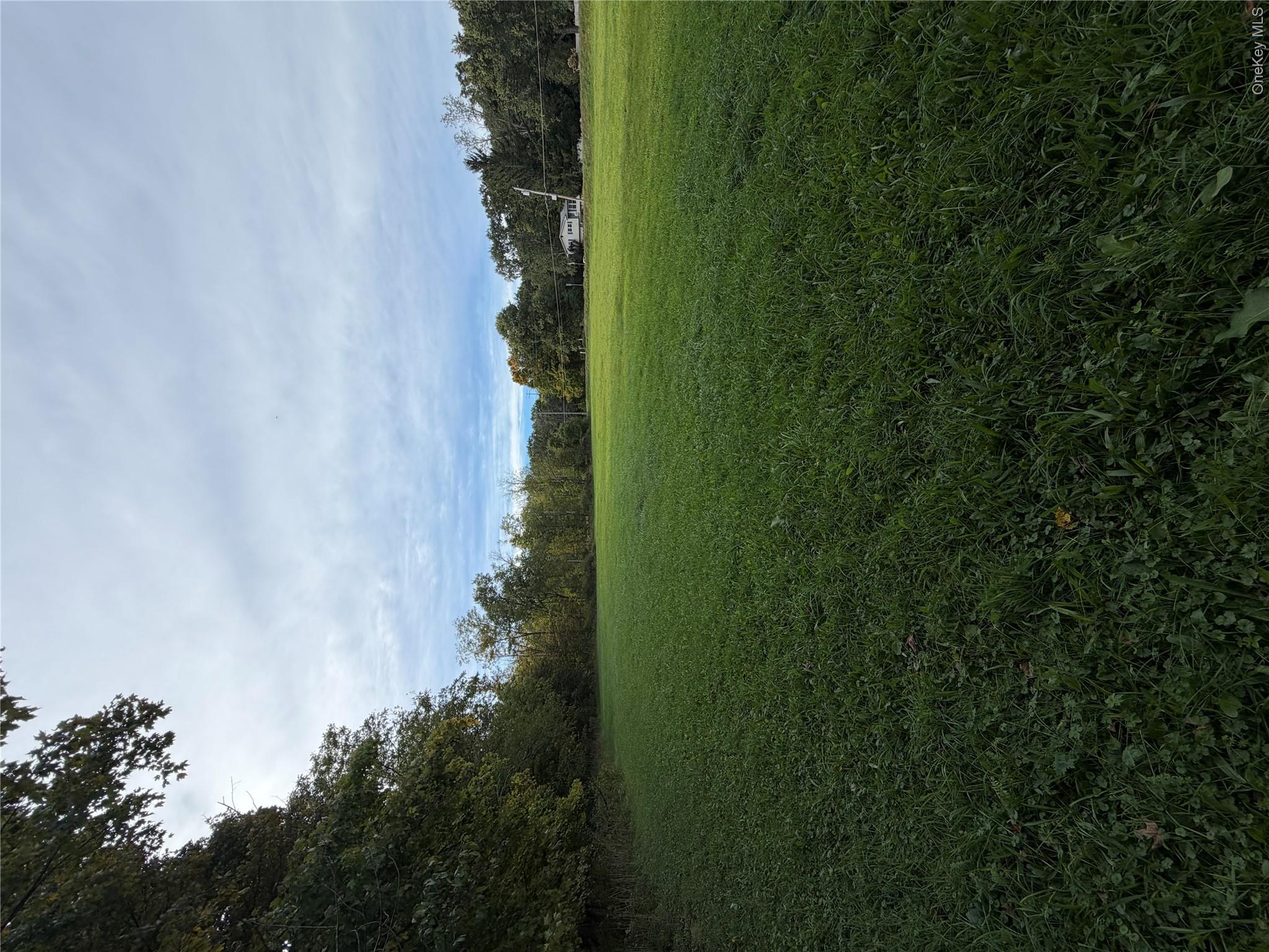 539 (Lot 1) Mt Orange Road – For Sale photo 7