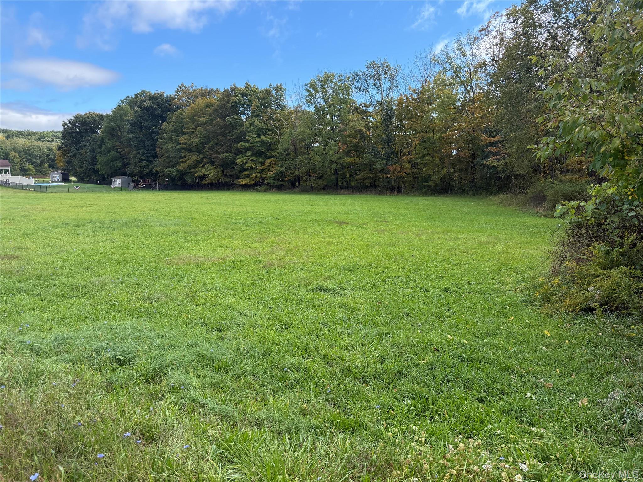 539 (Lot 1) Mt Orange Road – For Sale photo 4