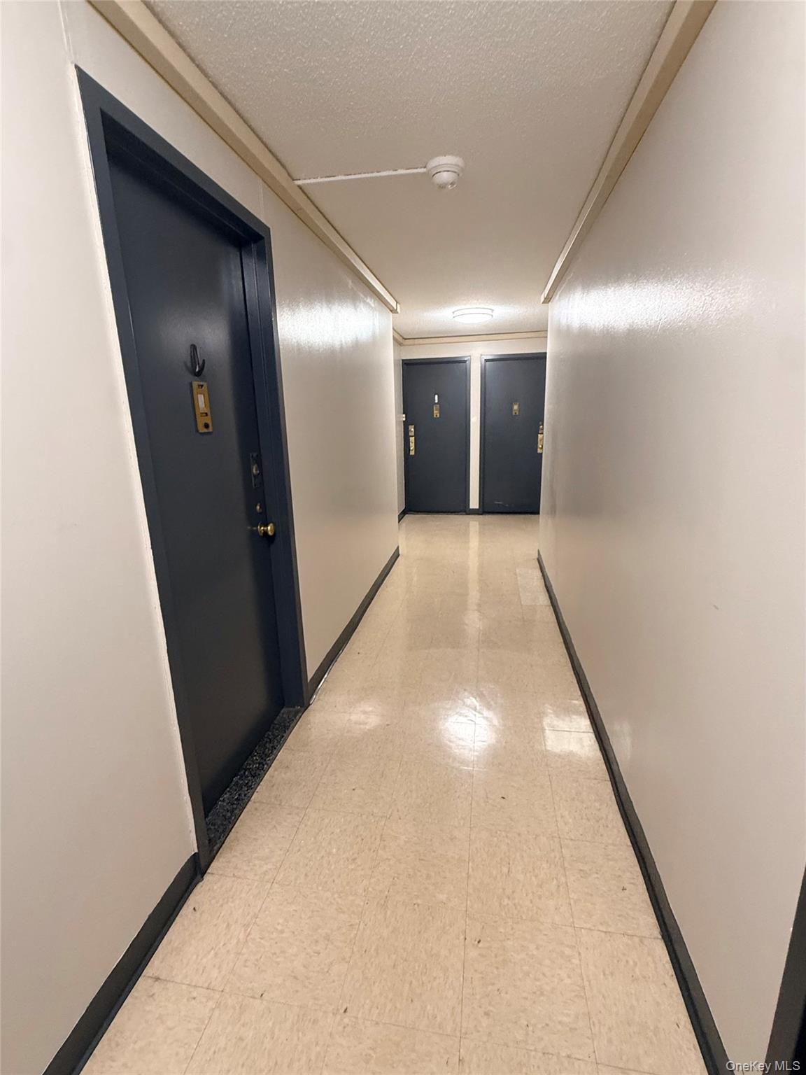 2550 Olinville Avenue, Unit 15H photo 13