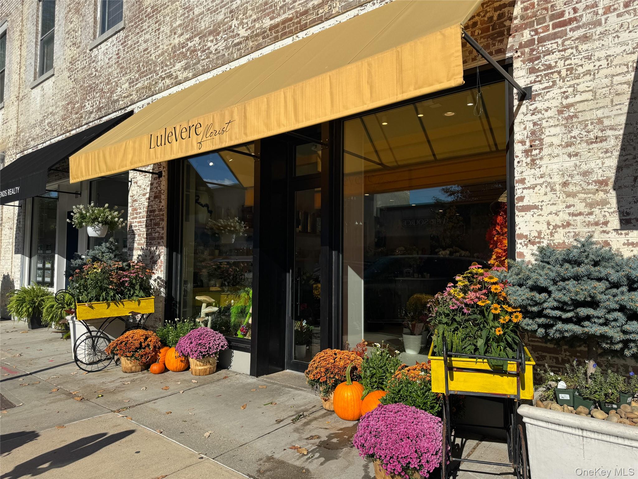 2 Bronxville Road, Unit 6P photo 24