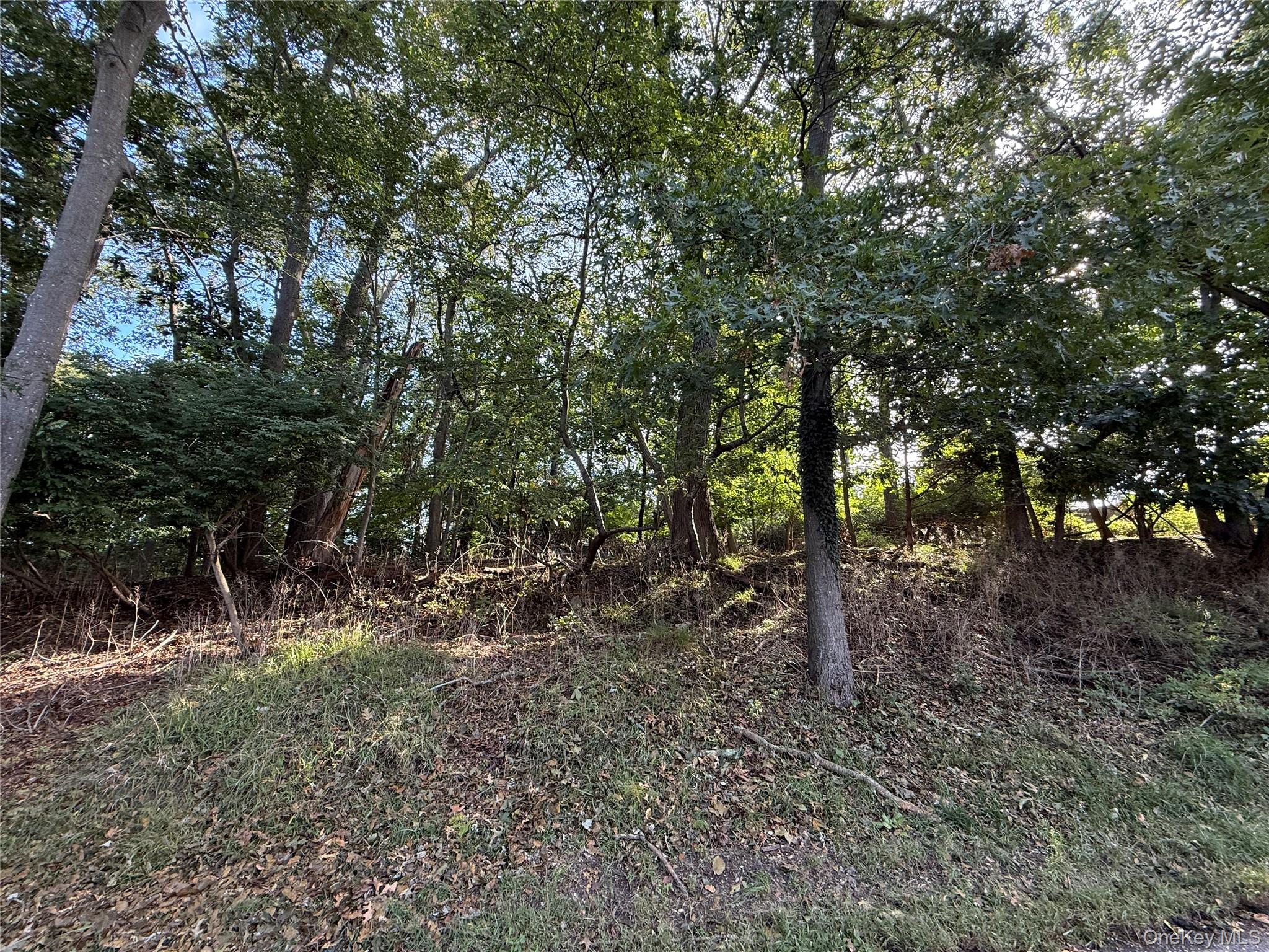 156 Maple Road – For Sale