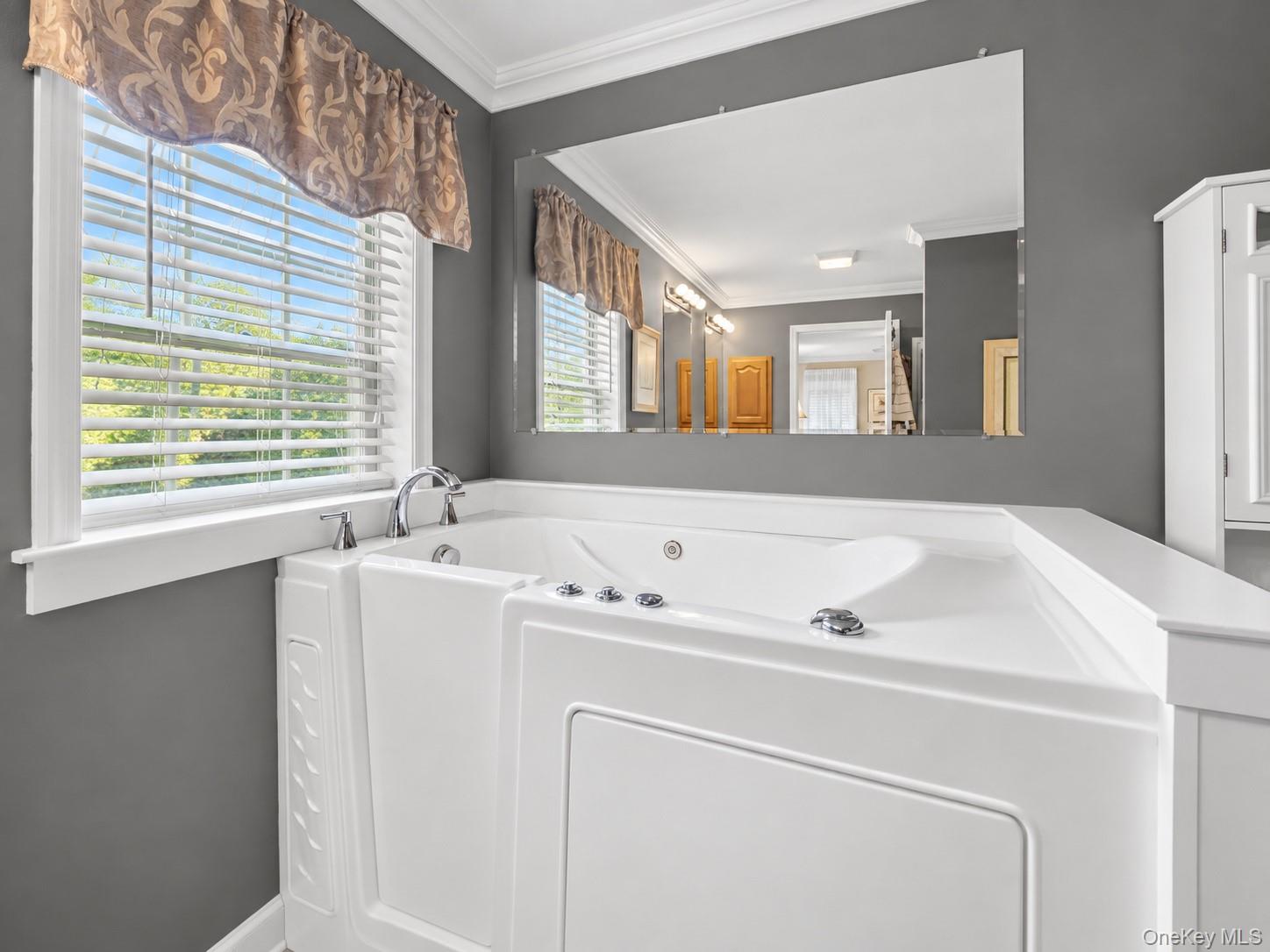 1661 Old Country Road, Unit 560 photo 11