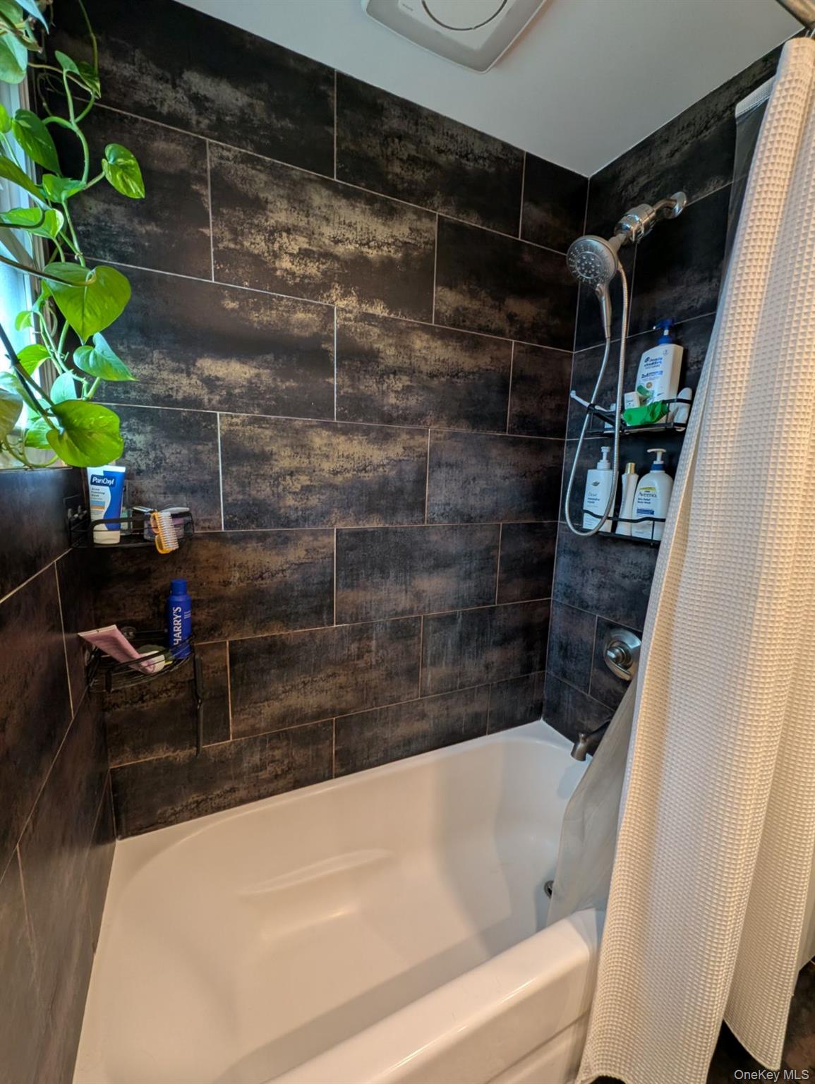 20 Sylvester Place – For Rent photo 9