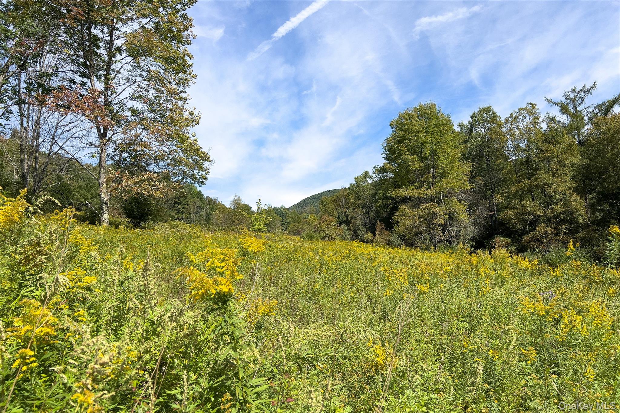 1685 Dry Brook Road – For Sale photo 49