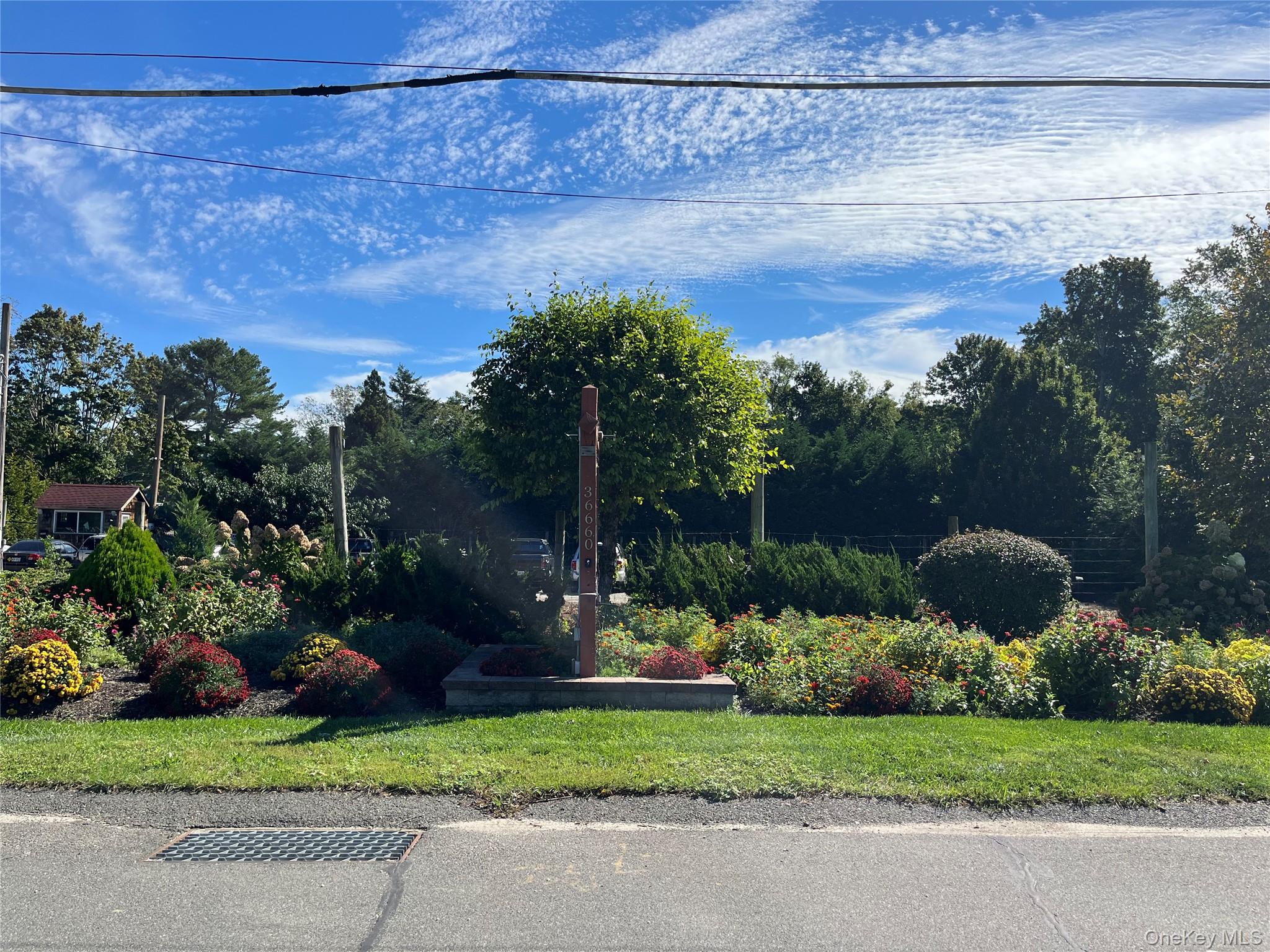 36660 Main Road – For Sale