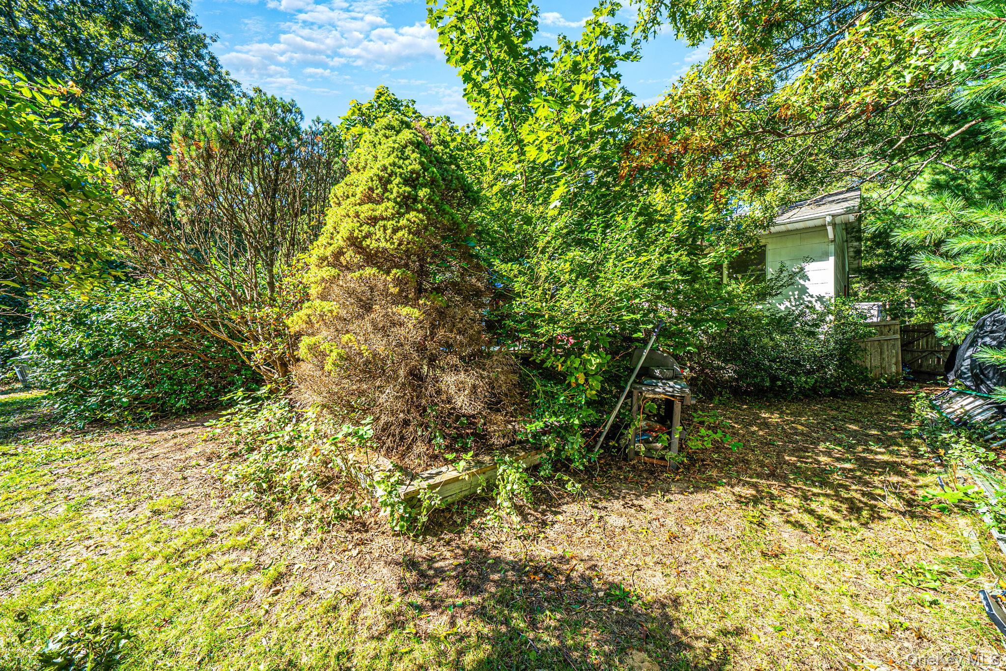 306 Jamaica Avenue – For Sale photo 30