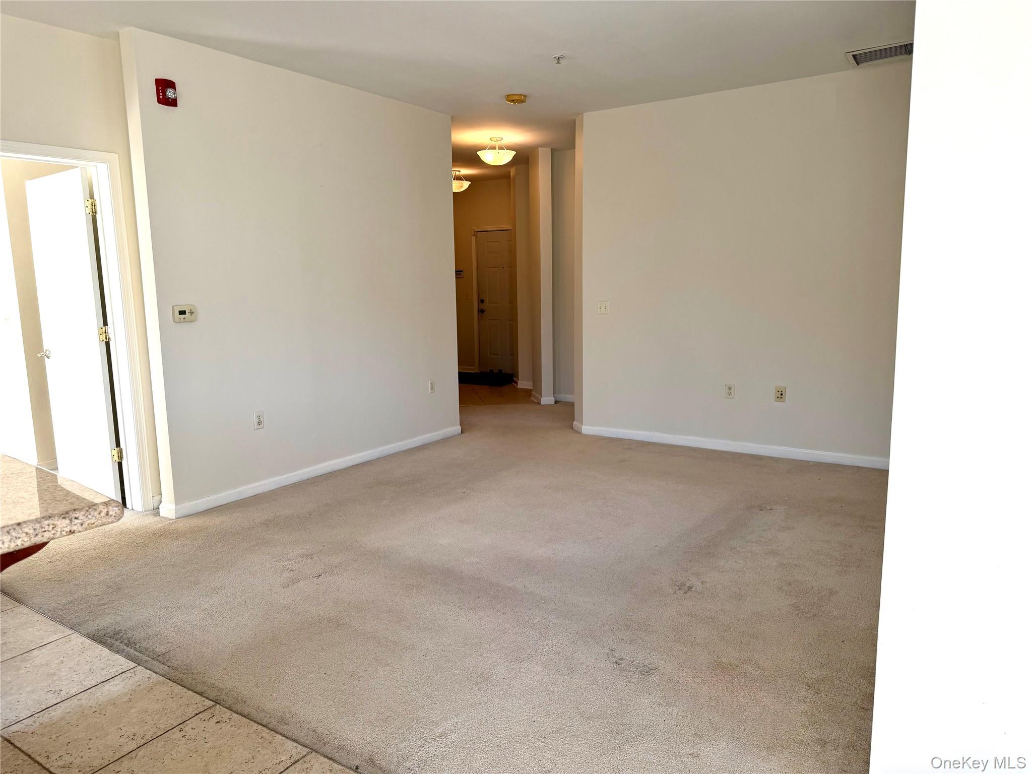 937 Tower Ridge Circle – For Rent photo 11