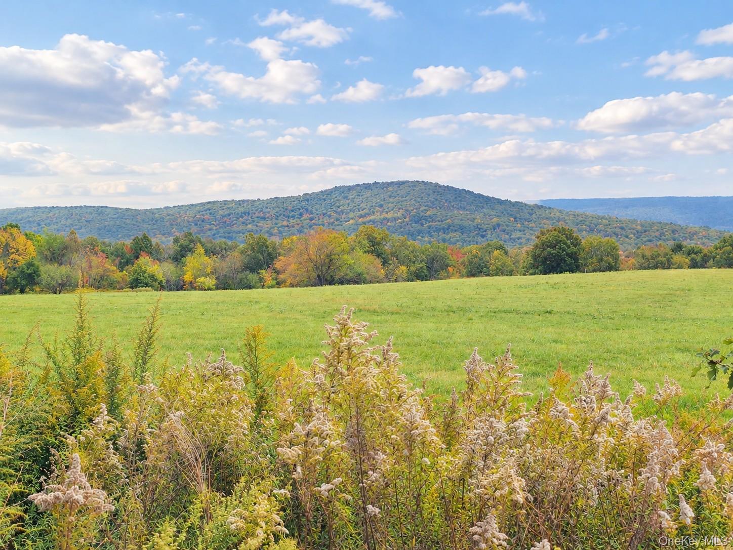 1551 Route 208 – For Sale photo 40