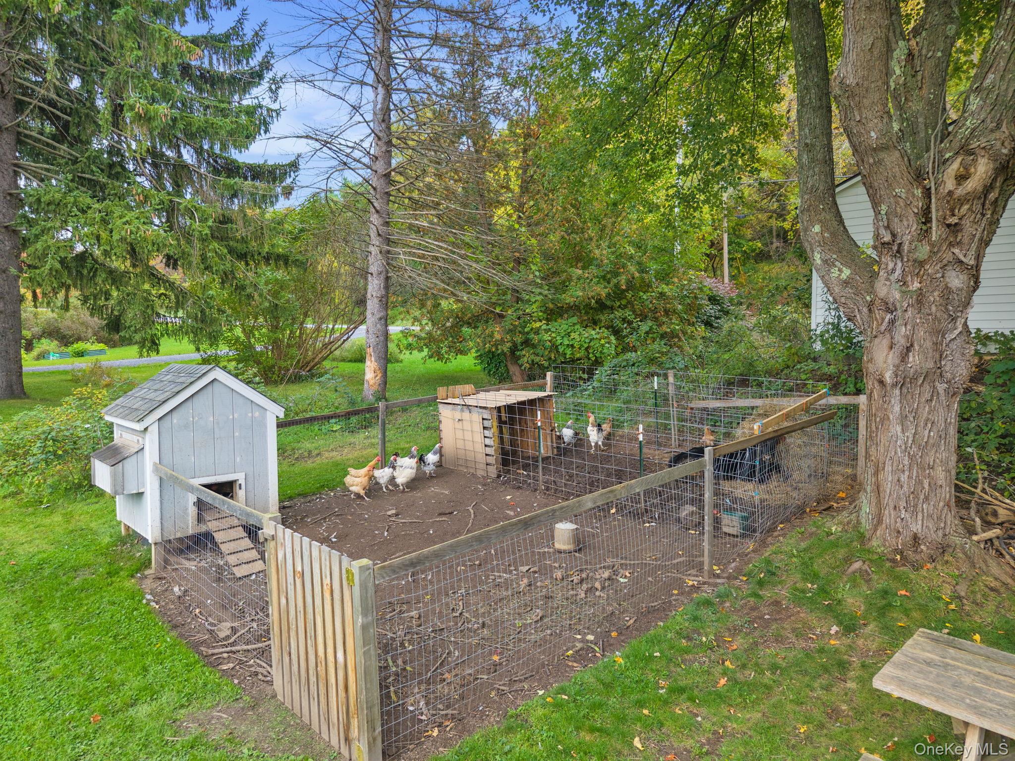 719 Mineral Springs Rd, Cobleskill NY – For Sale photo 35