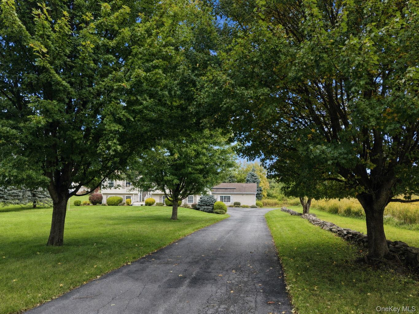 41 Mt Hope Avenue – For Sale photo 2