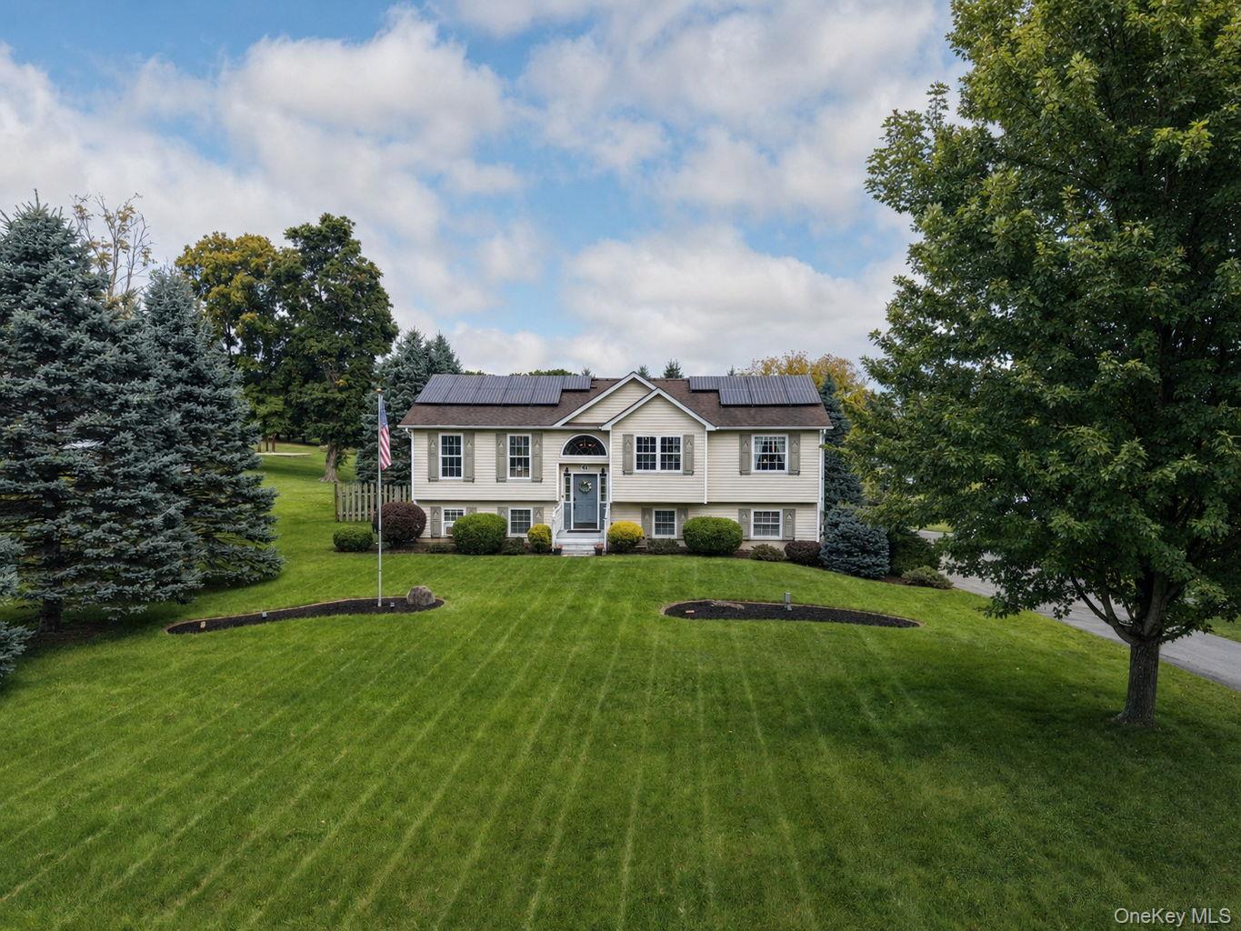 41 Mt Hope Avenue – For Sale photo 3