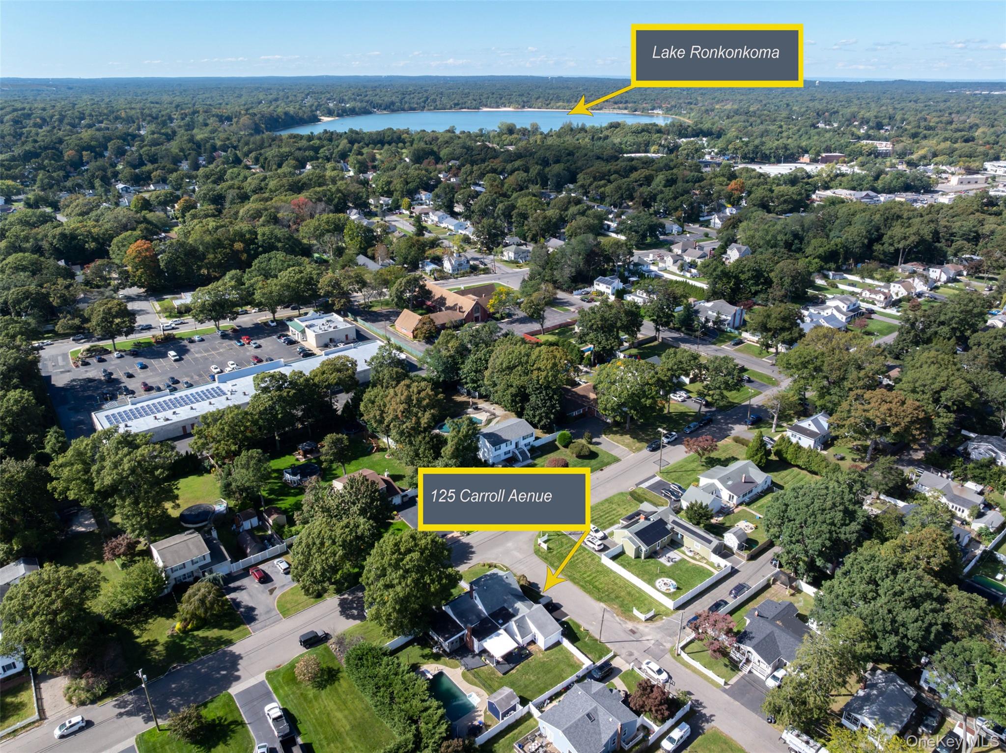 125 Carroll Avenue – For Sale photo 37