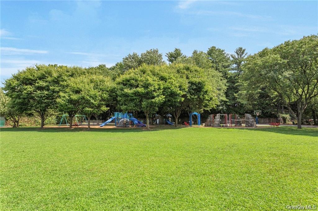 1250 North Avenue, Unit #204 photo 21