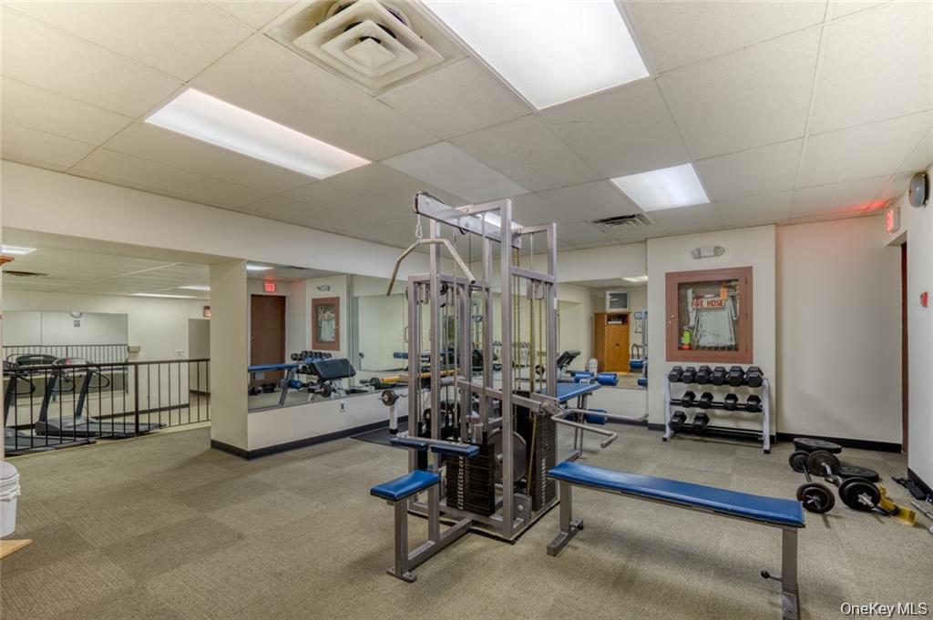 1250 North Avenue, Unit #204 photo 13