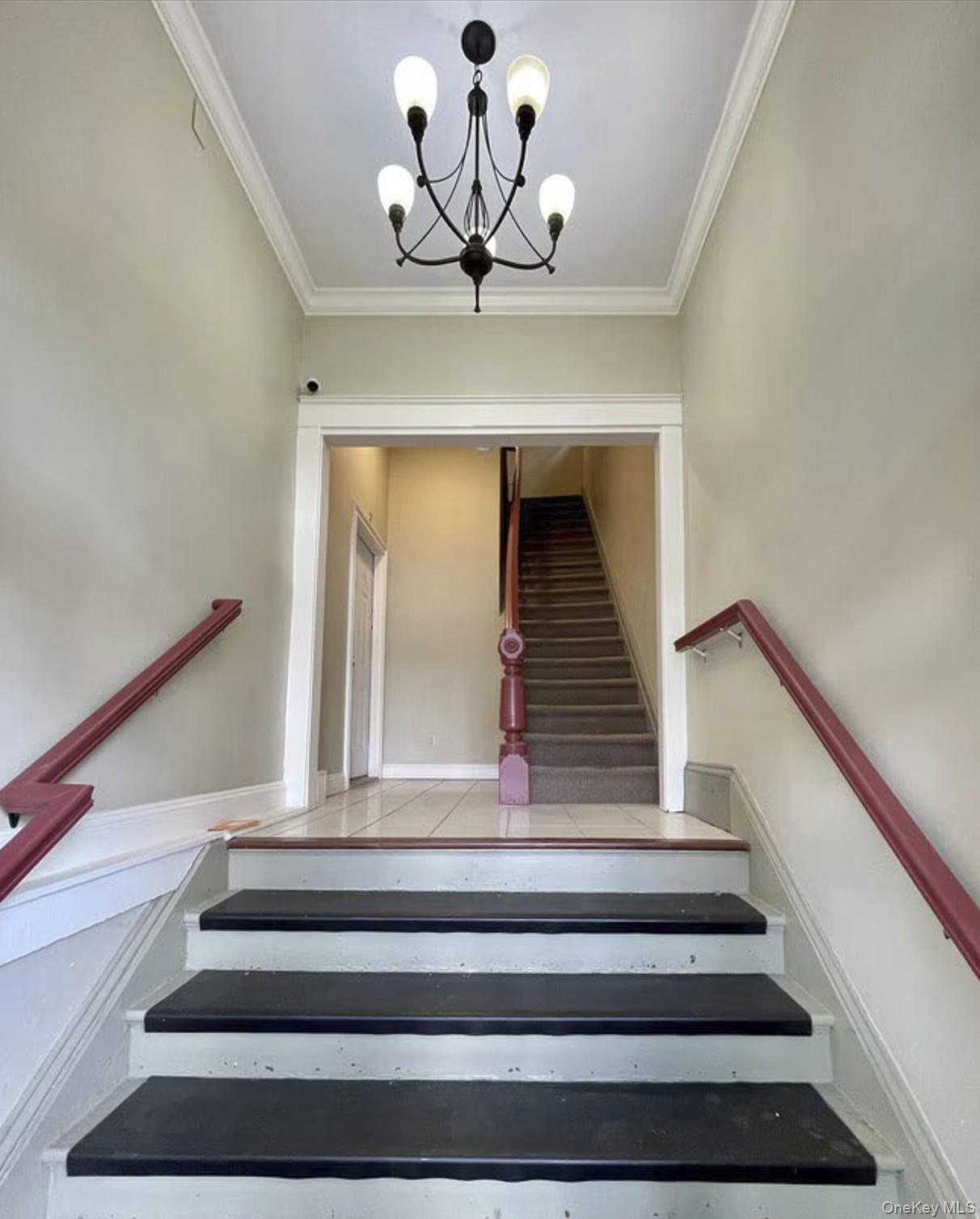 81 Cannon Street, Unit 2 photo 7