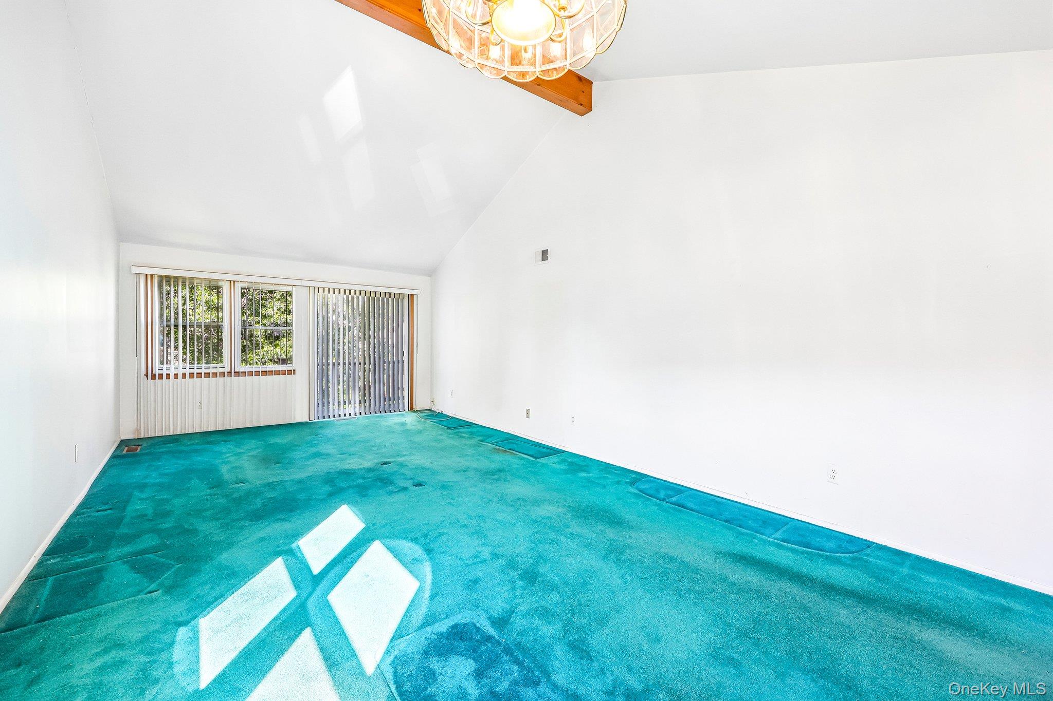 135 W Nyack Road, Unit 118 photo 15