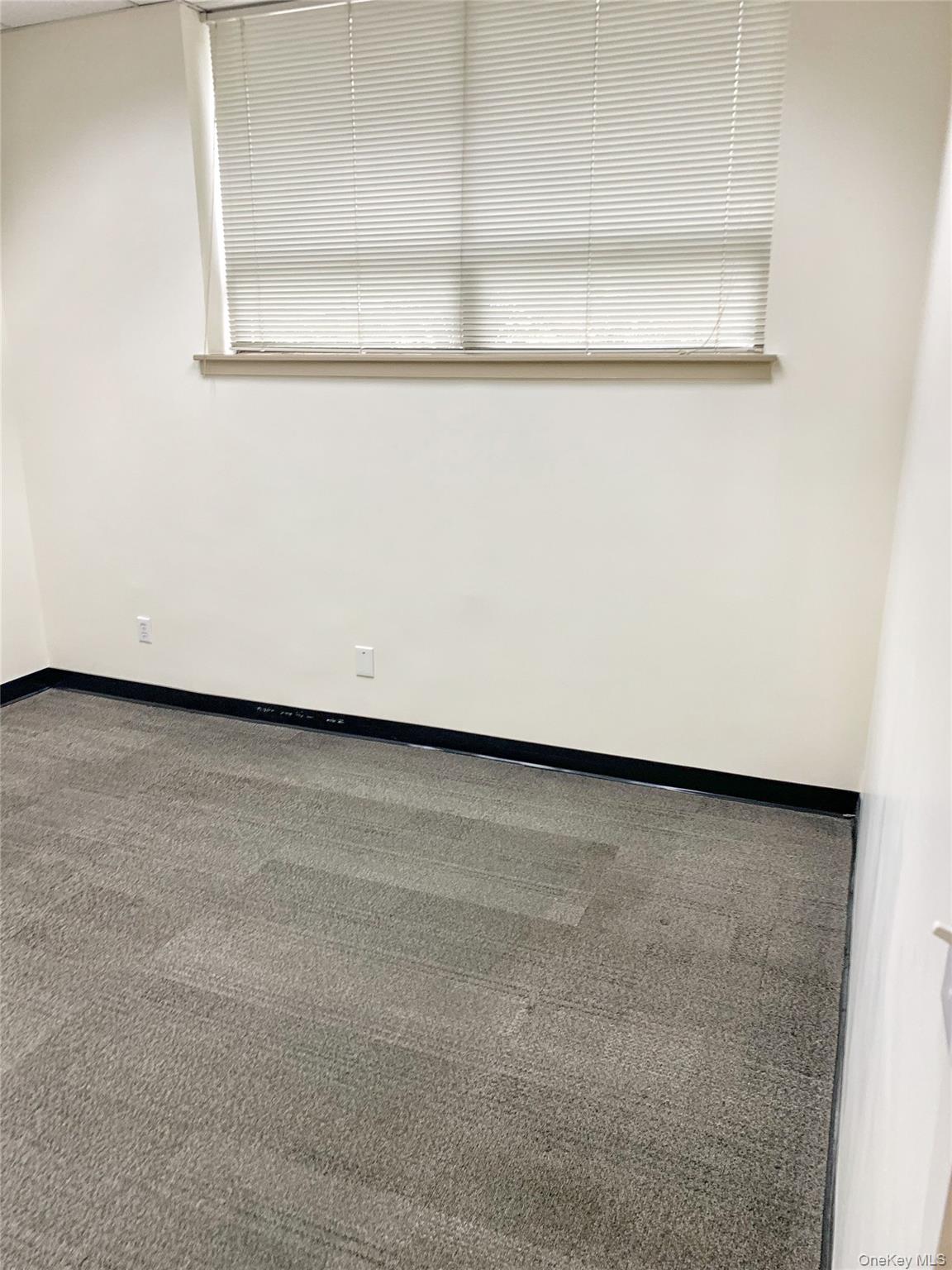 531 Central Park Avenue, Unit 103 photo 5