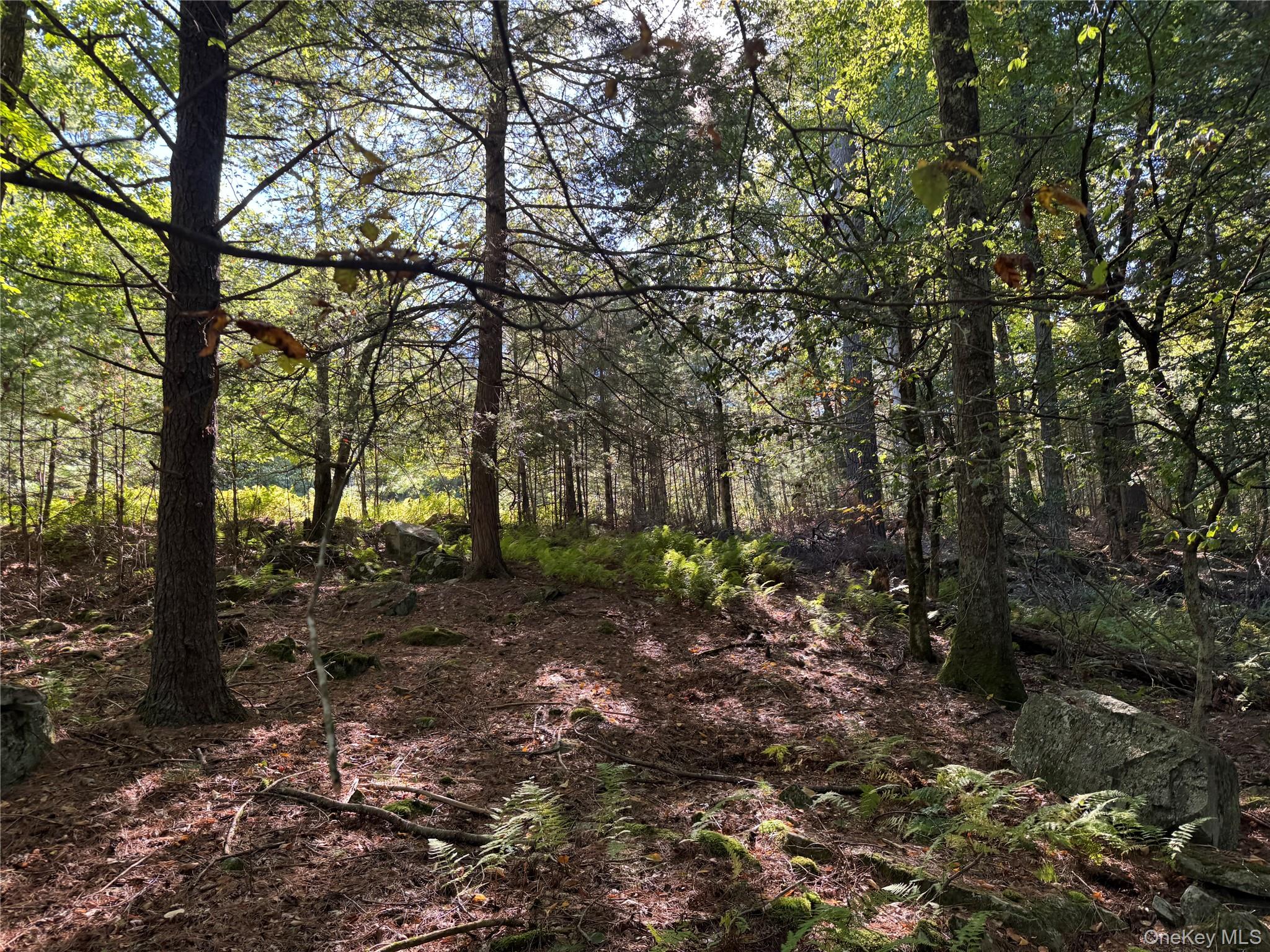 lot 1 Chapin Trail – For Sale photo 8