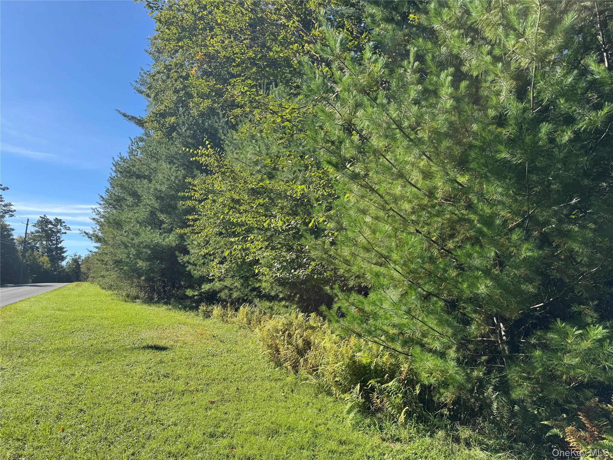lot 1 Chapin Trail – For Sale