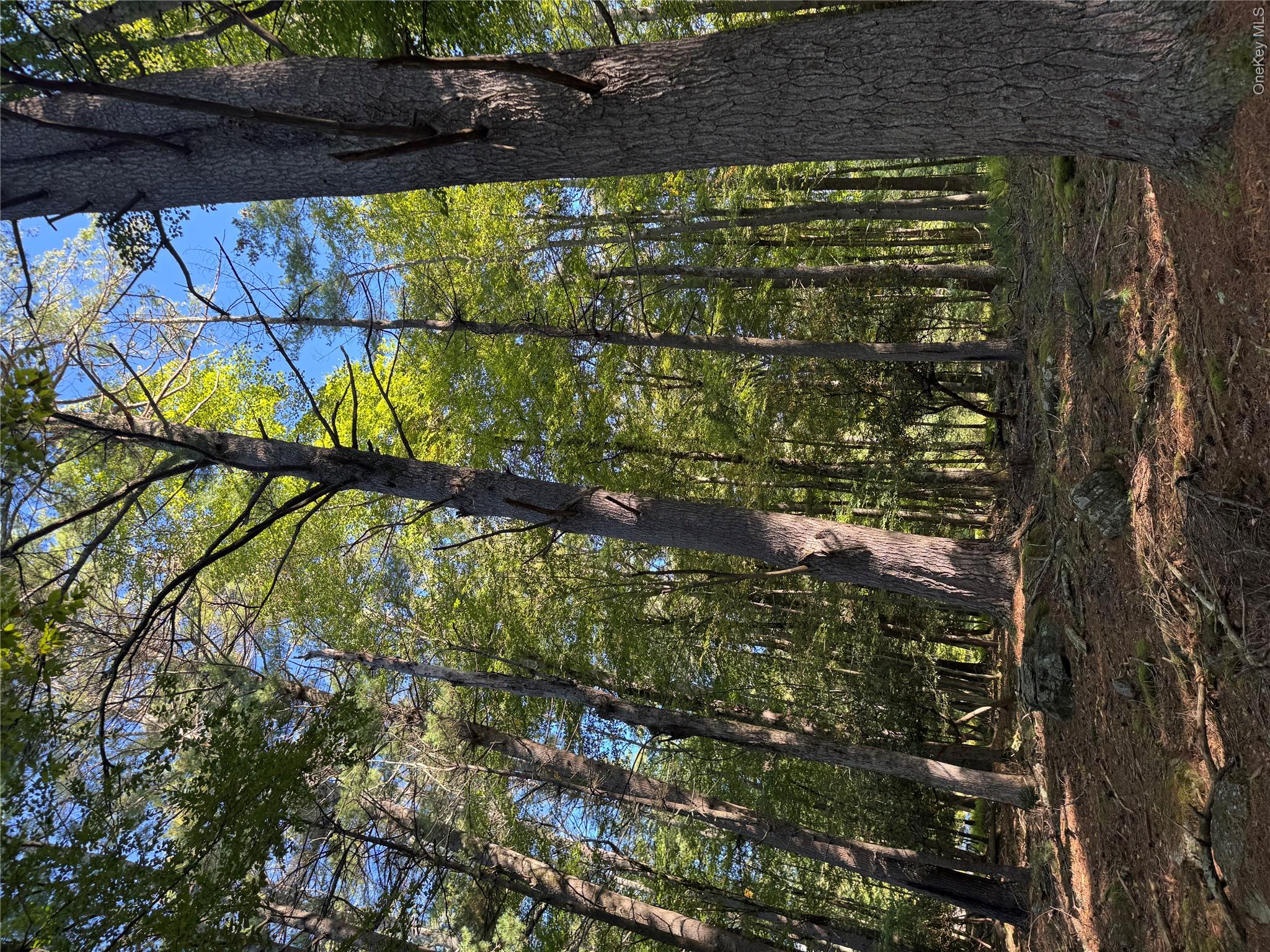 lot 1 Chapin Trail – For Sale photo 17