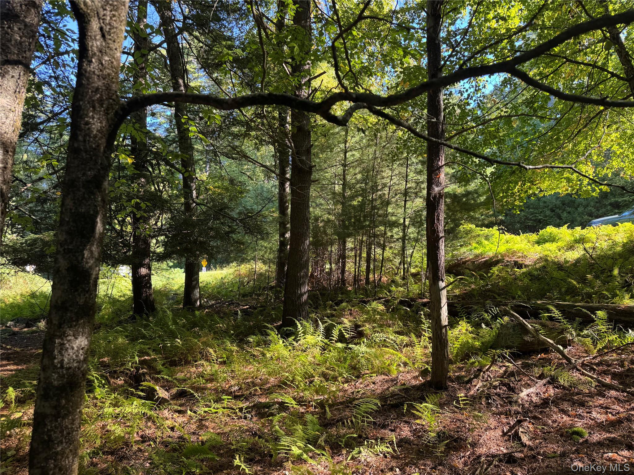 lot 1 Chapin Trail – For Sale photo 9