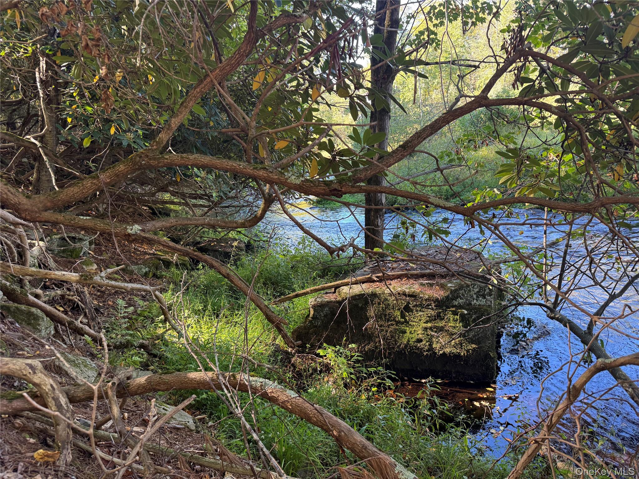 lot 1 Chapin Trail – For Sale photo 23