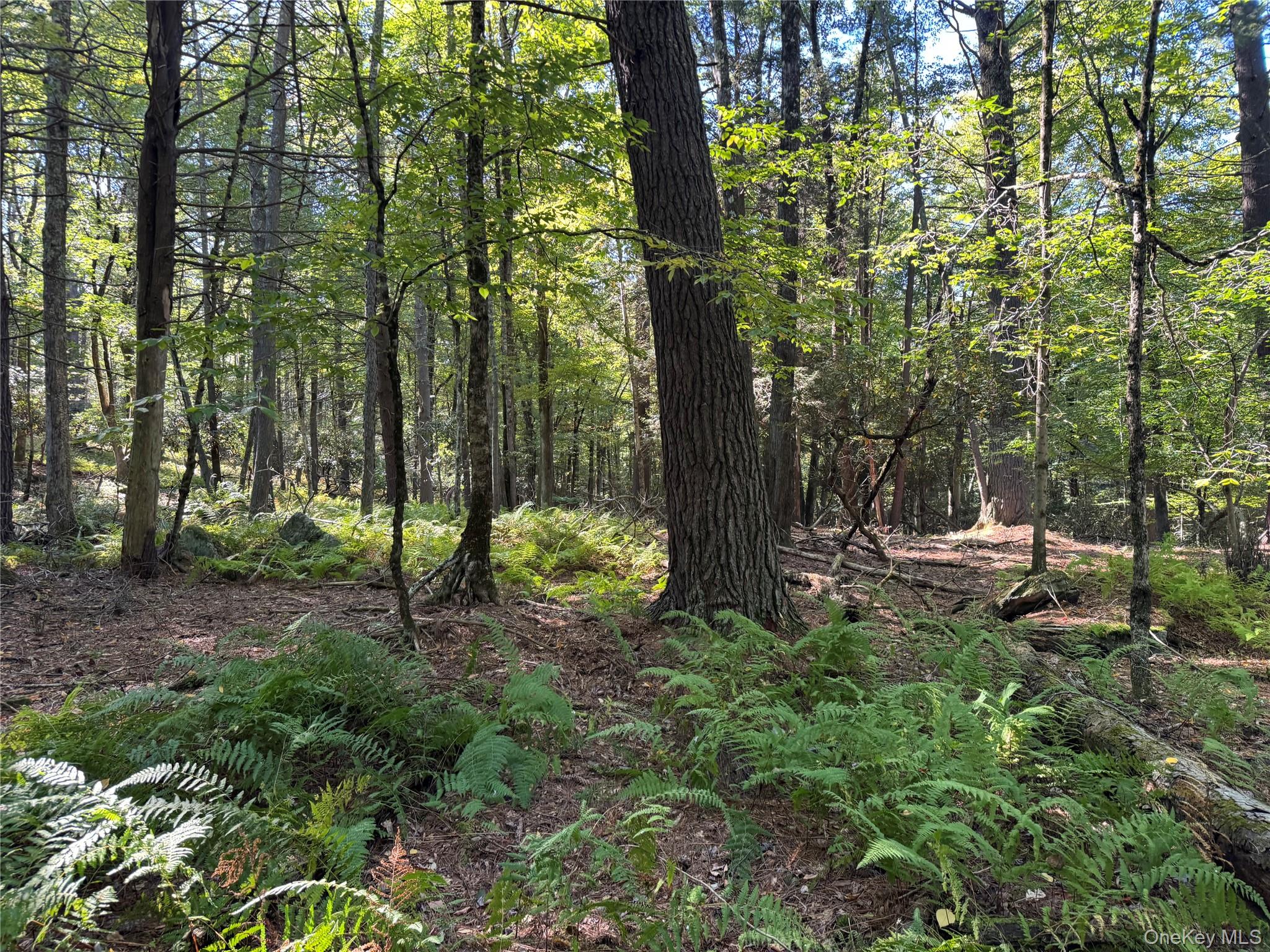 lot 1 Chapin Trail – For Sale photo 26