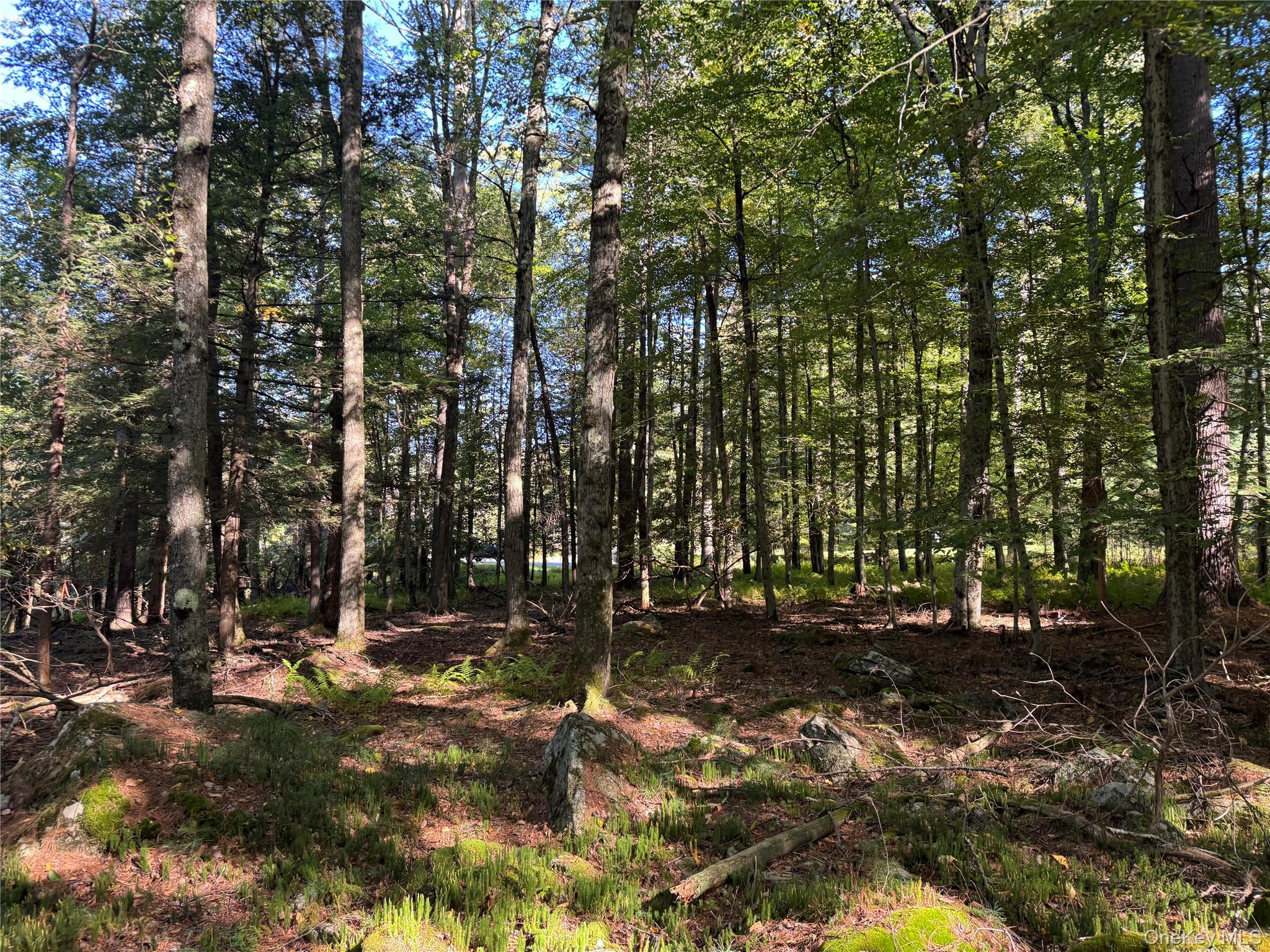 lot 1 Chapin Trail – For Sale photo 11