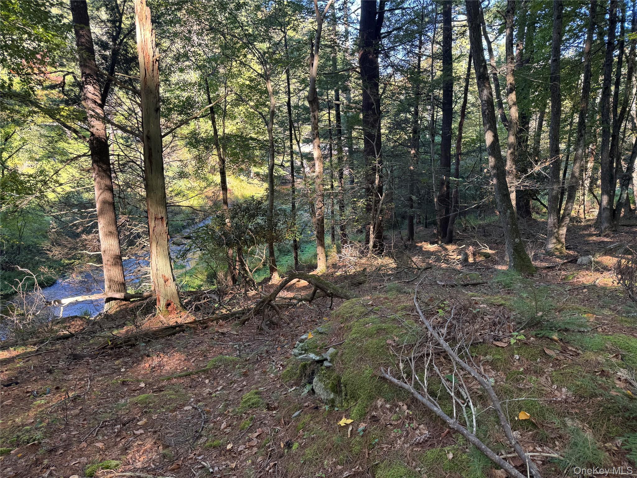 lot 1 Chapin Trail – For Sale photo 18