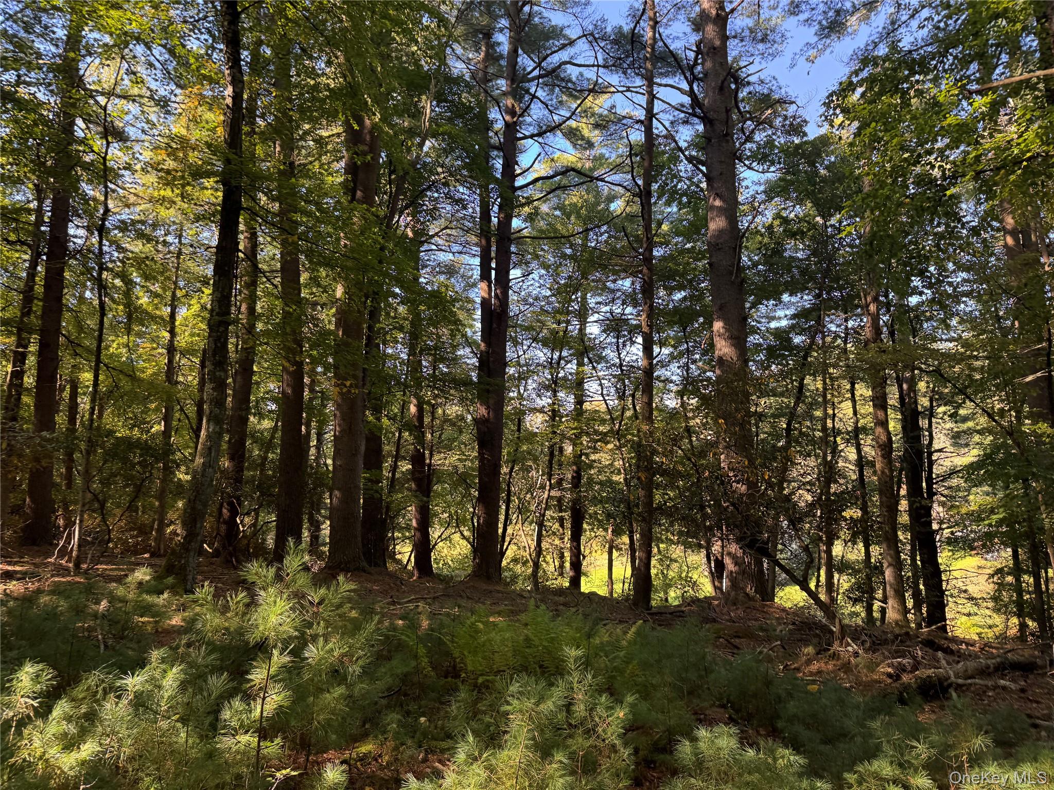 lot 1 Chapin Trail – For Sale photo 13