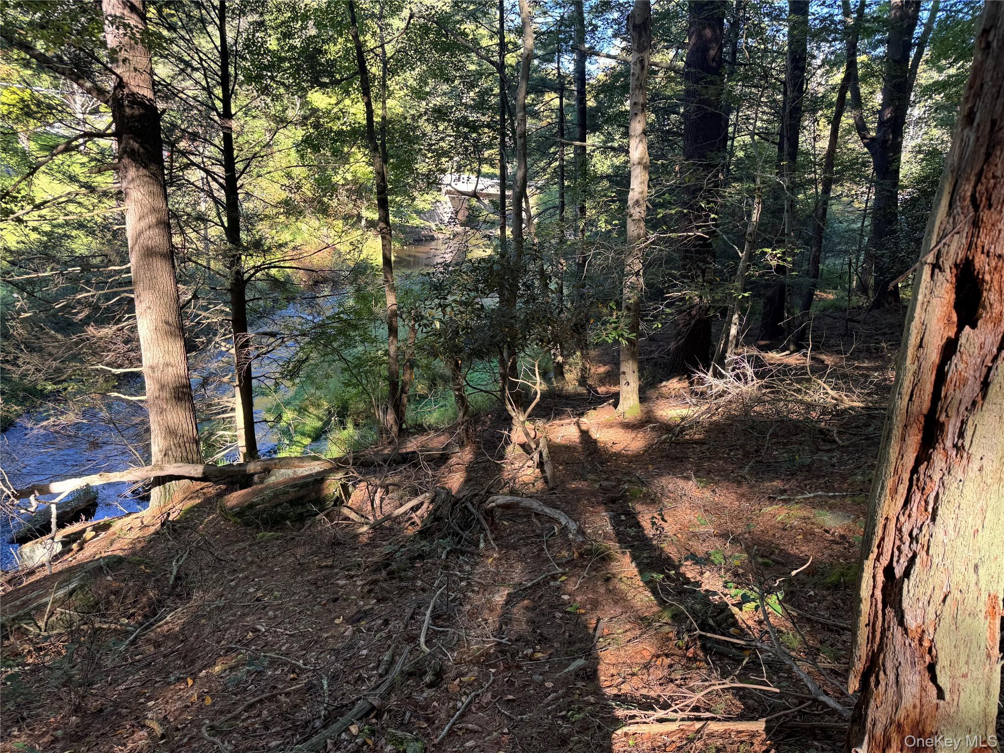 lot 1 Chapin Trail – For Sale photo 20