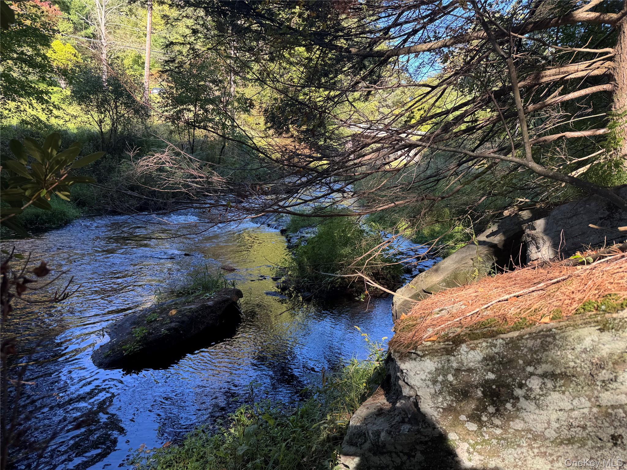 lot 1 Chapin Trail – For Sale photo 24