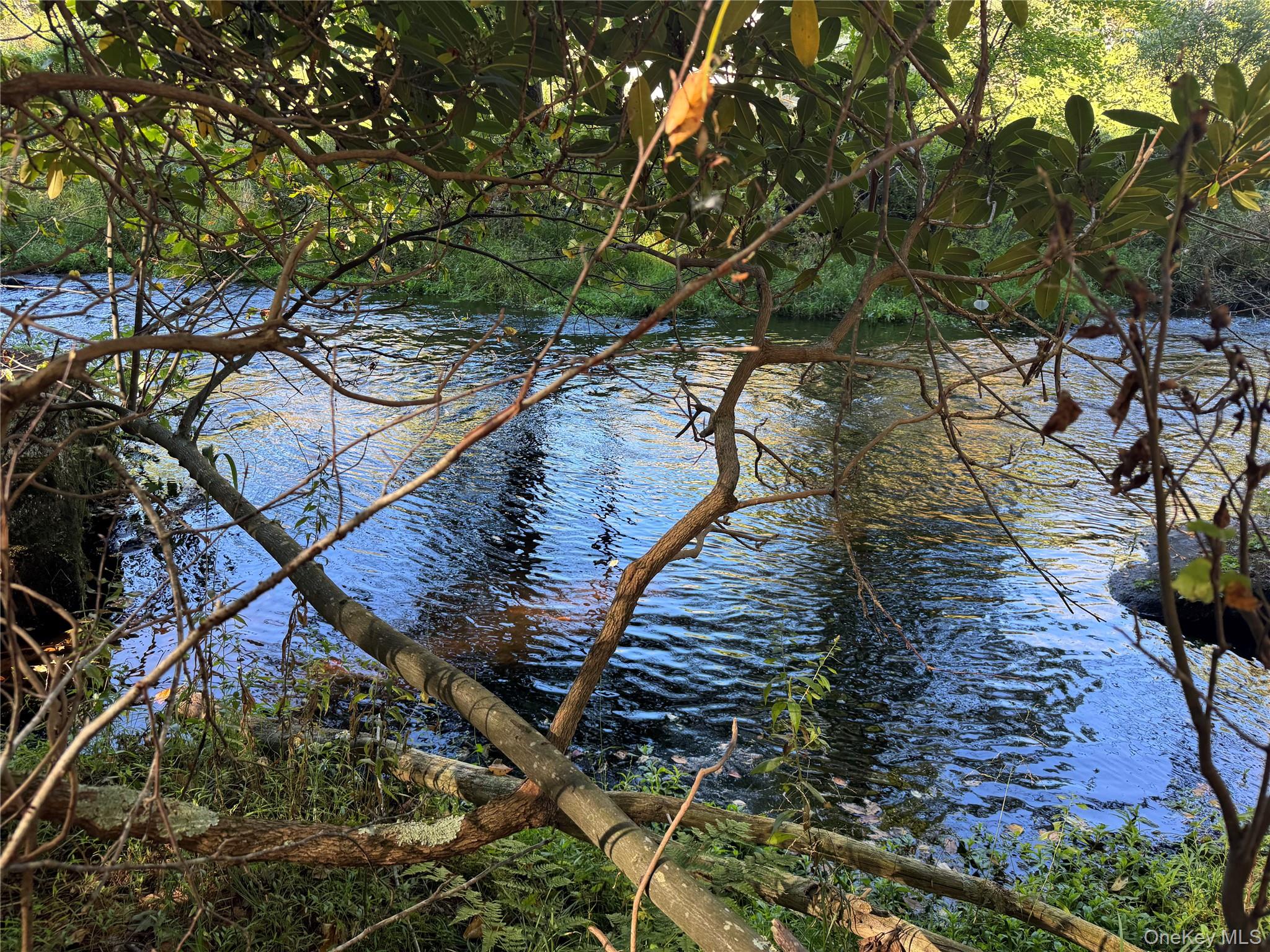 lot 1 Chapin Trail – For Sale photo 25