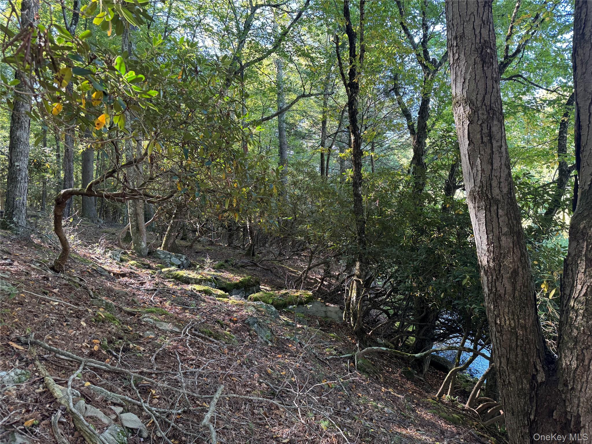 lot 1 Chapin Trail – For Sale photo 21