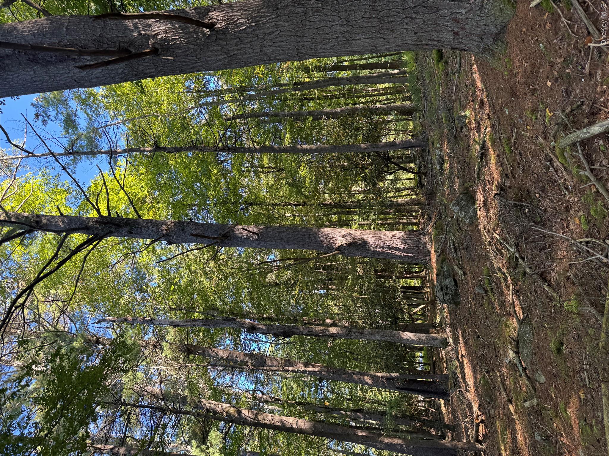 lot 1 Chapin Trail – For Sale photo 16