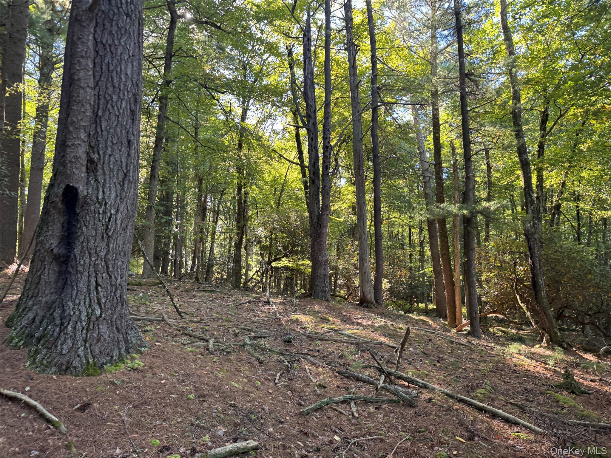 lot 1 Chapin Trail – For Sale photo 14