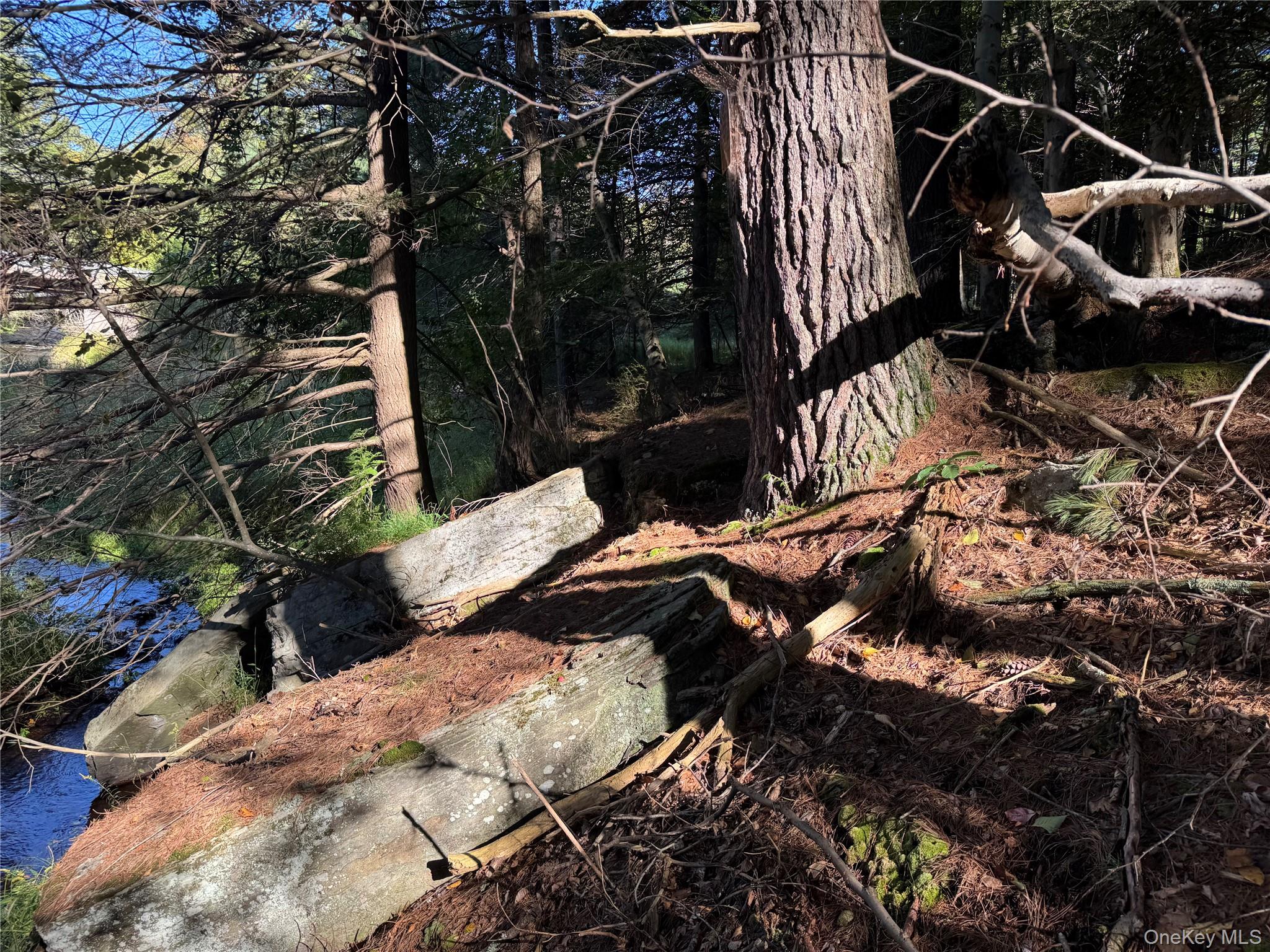 lot 1 Chapin Trail – For Sale photo 22